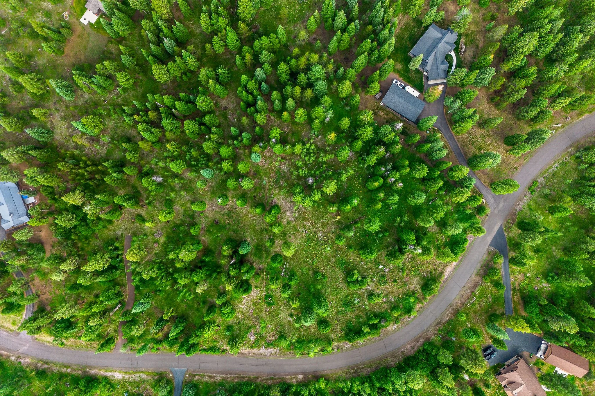 An aerial view of a wooded area with a winding road, houses, and a driveway surrounded by dense green trees.