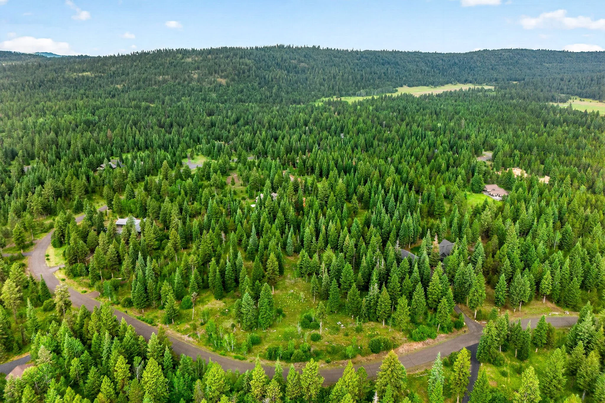 Aerial view of a lush green forest with scattered houses and winding roads, under a blue sky with a few clouds.