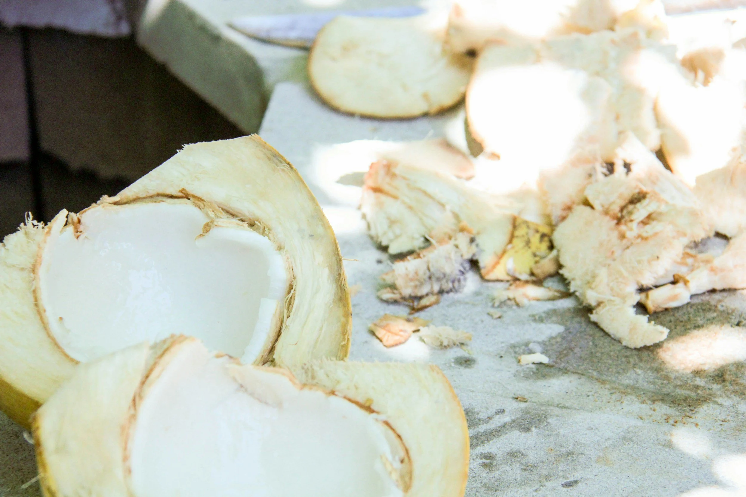Smashing Coconuts A.K.A my favorite ritual of all time!