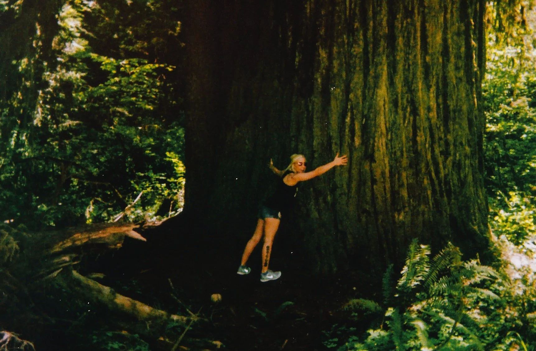 A woman with platinum blonde hair in a black tank top and shorts is hugging a large redwood tree in a forest surrounded by green foliage and ferns.