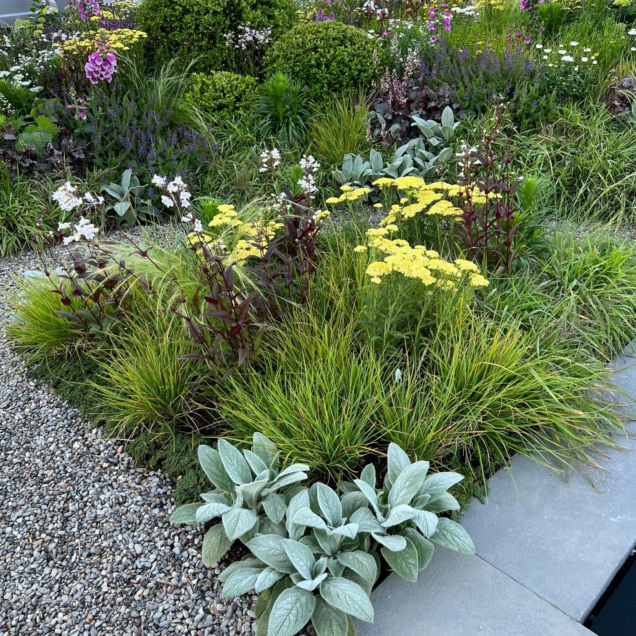 Colorful garden with various flowering plants and foliage, bordered by gravel and a concrete edge.
