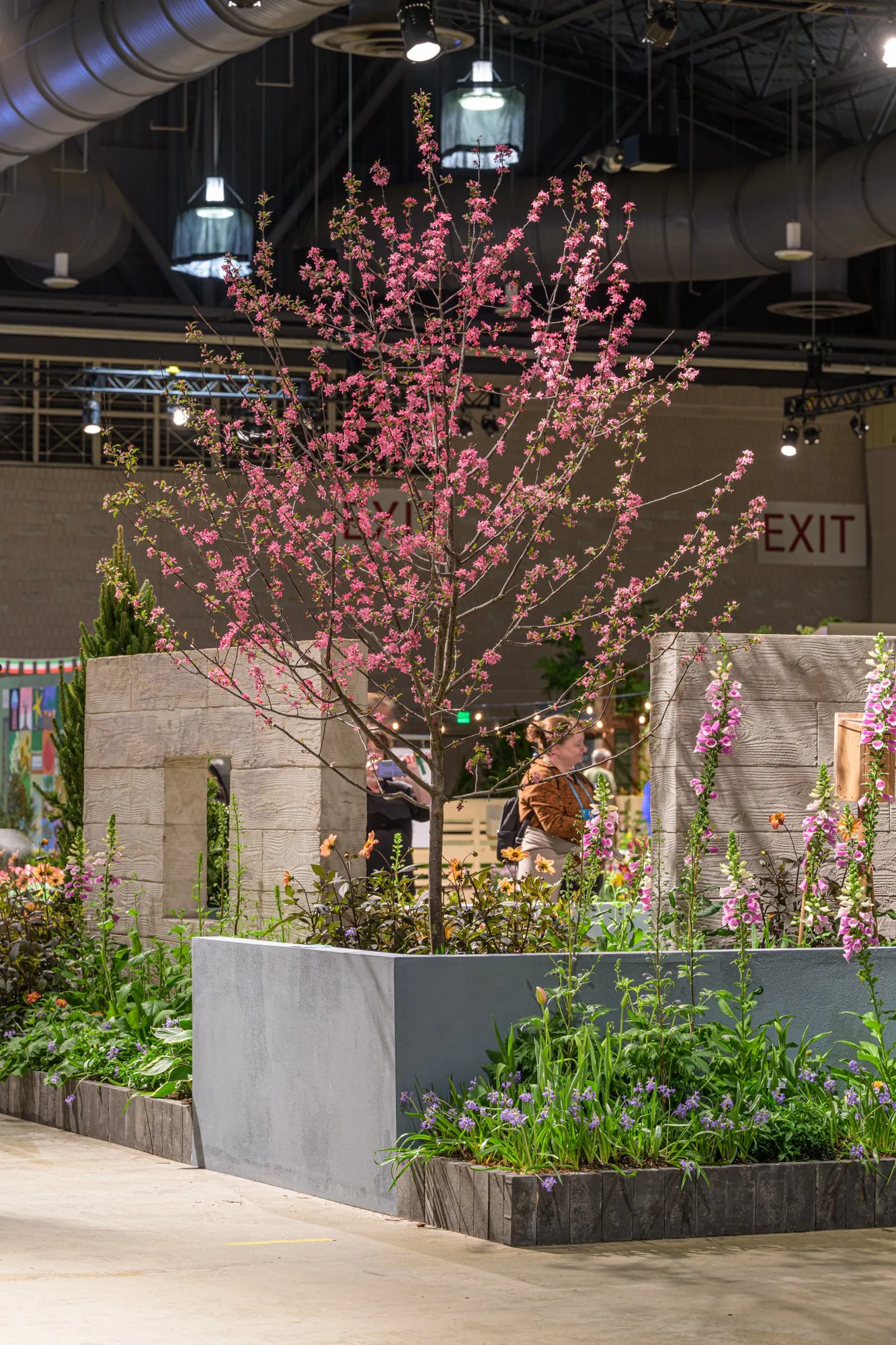 Pink flowering tree in a large gray planter at an indoor garden exhibit.