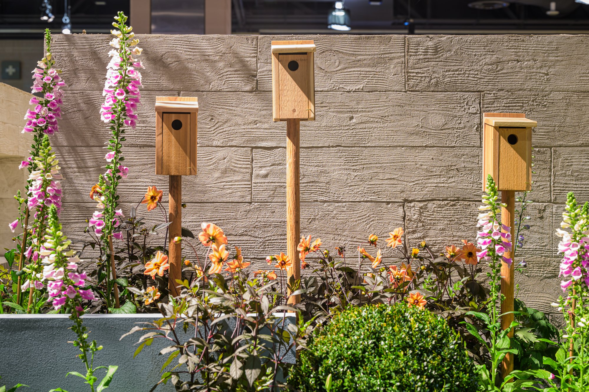 Three wooden birdhouses mounted on stakes in a flower garden with pink and orange flowers, against a beige textured wall.