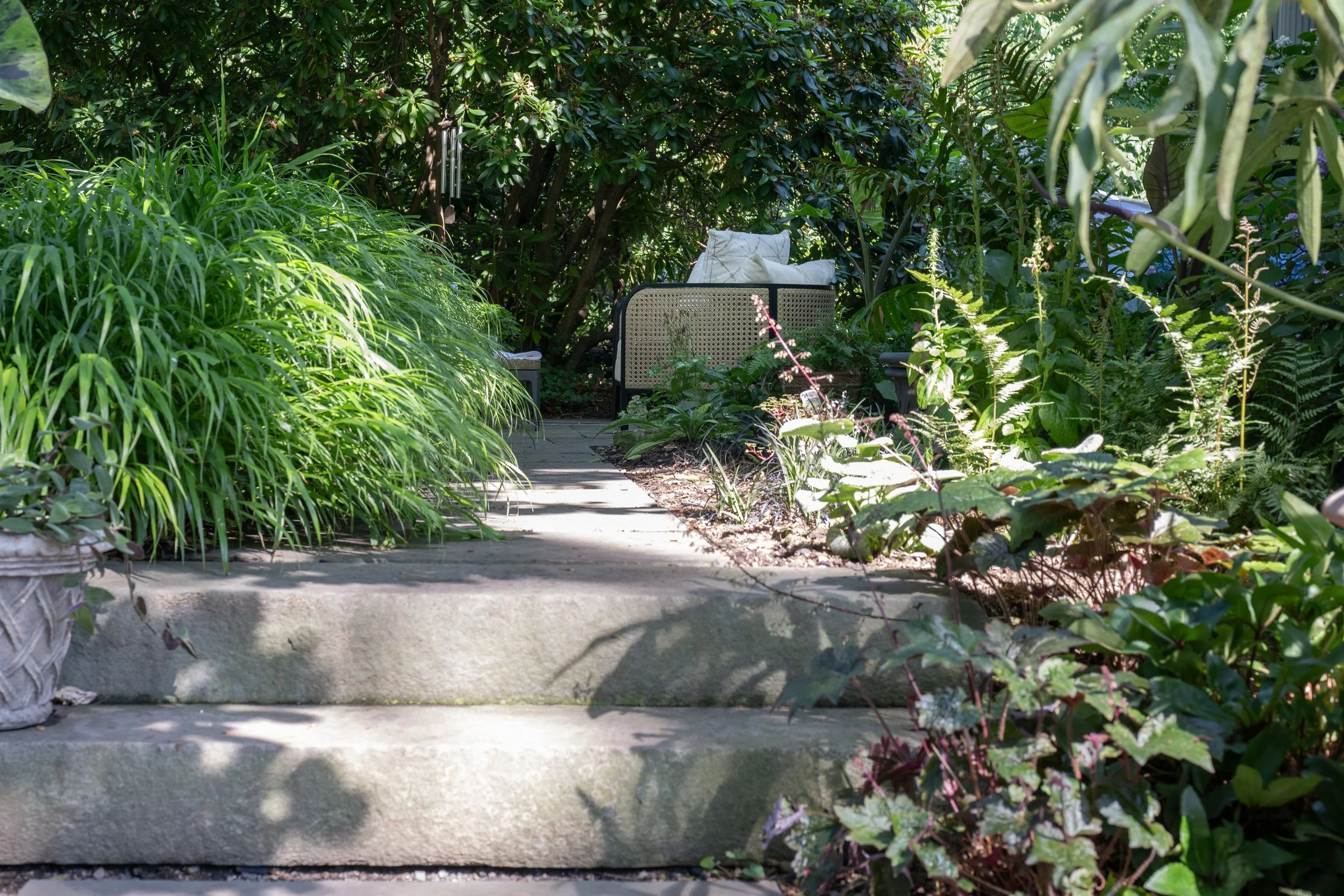 A garden pathway with concrete steps, surrounded by lush green plants and bushes, leading to a seating area with a bench and pillows in the background.