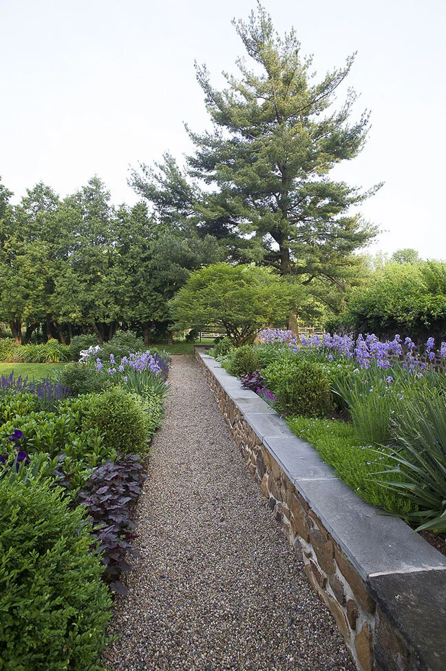 A garden path made of small pebbles, bordered by a stone wall, with lush green plants and purple flowers on either side, and tall trees in the background.