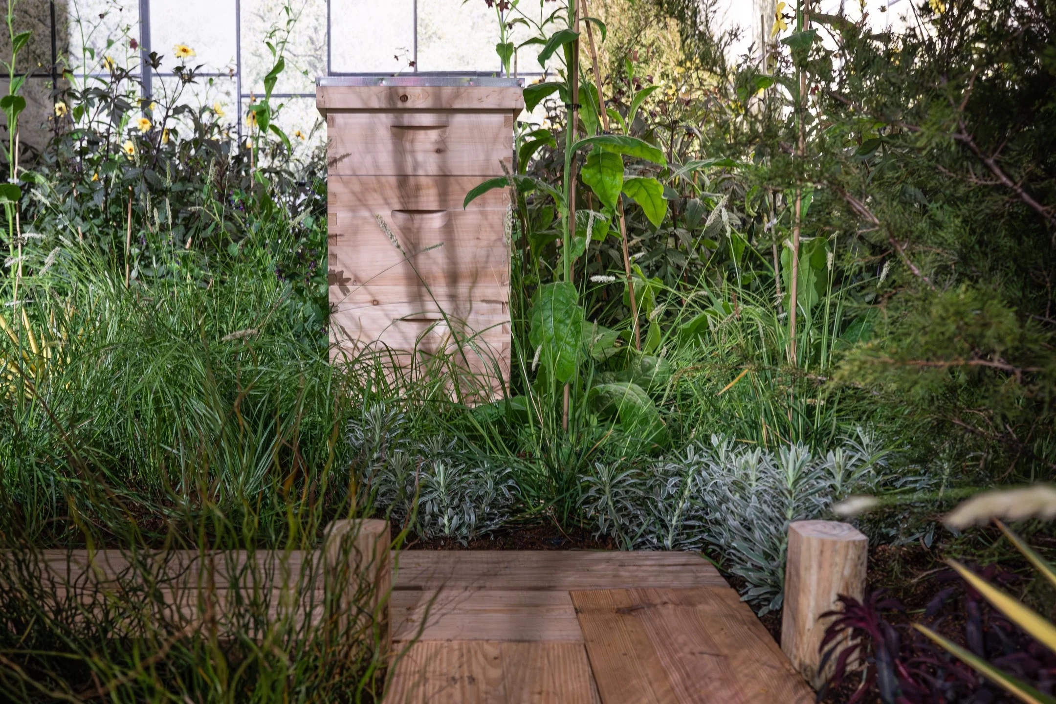 Wooden structure amidst lush green plants and foliage in a garden.