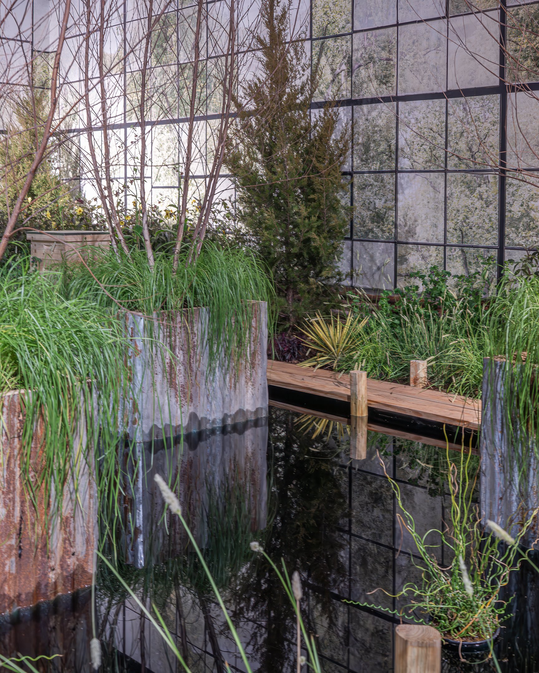 Indoor garden with tall green grasses and plants in wooden planters, a small wooden bridge over water, and a glass wall with a grid pattern reflecting trees outside.
