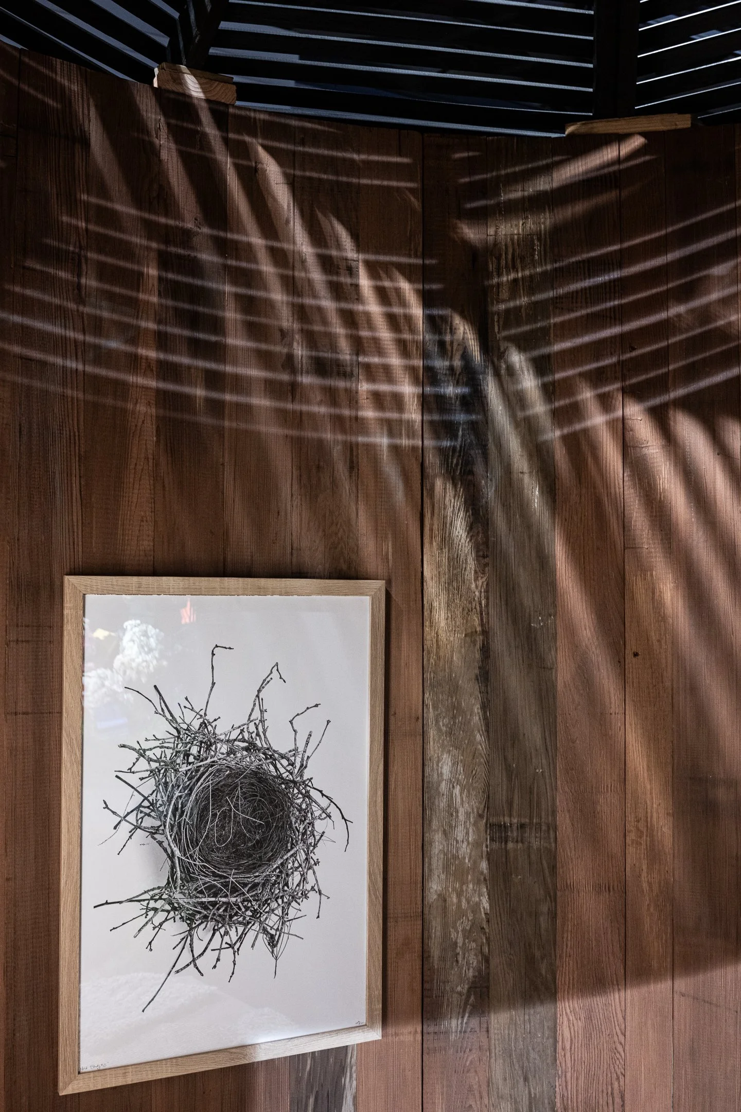 A framed artwork of a bird's nest made of twigs on a white background, hanging on a wooden wall with shadows from a slatted ceiling.