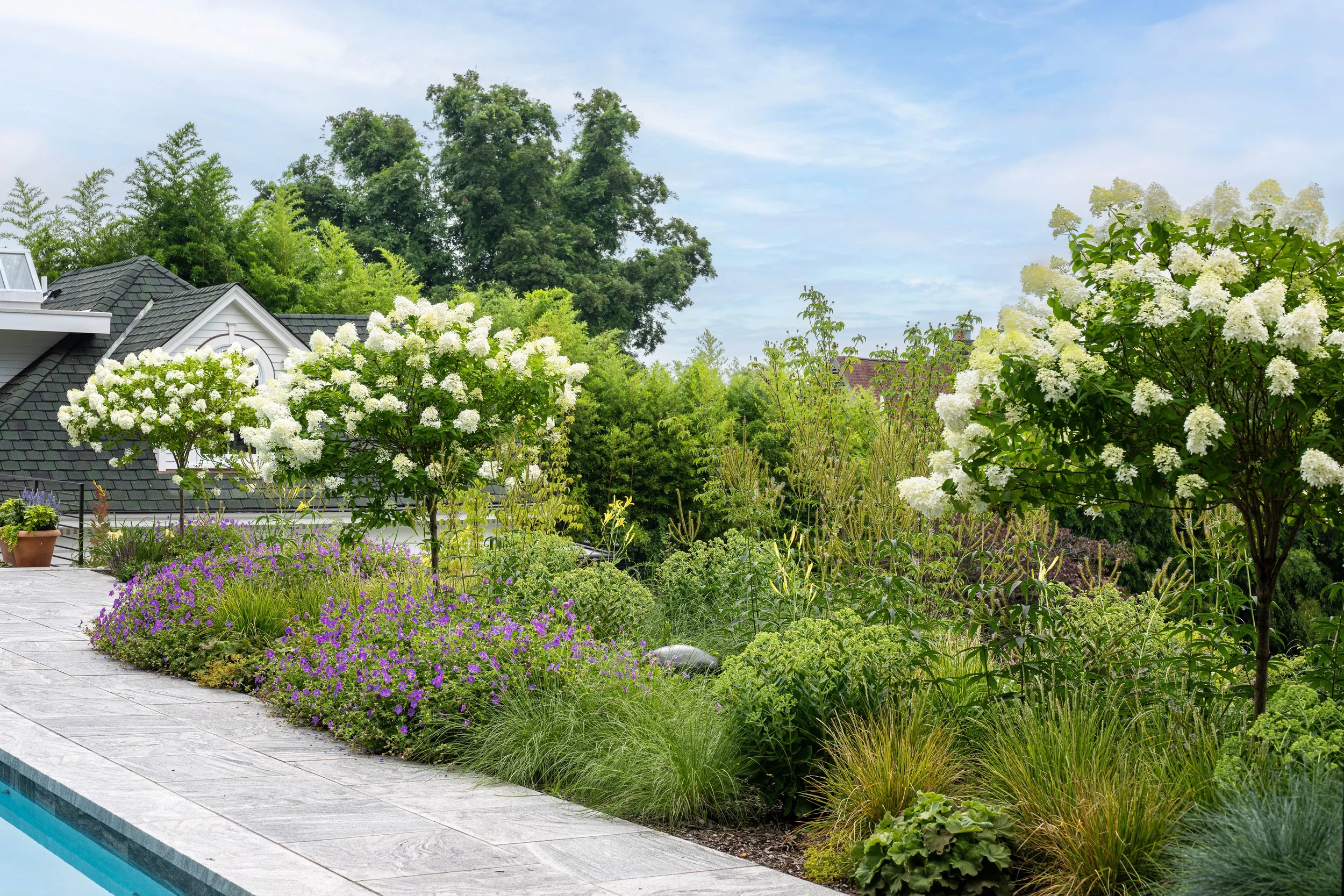 A backyard garden next to a swimming pool with white flowering trees and various green plants, shrubs, and flowers under a partly cloudy sky.