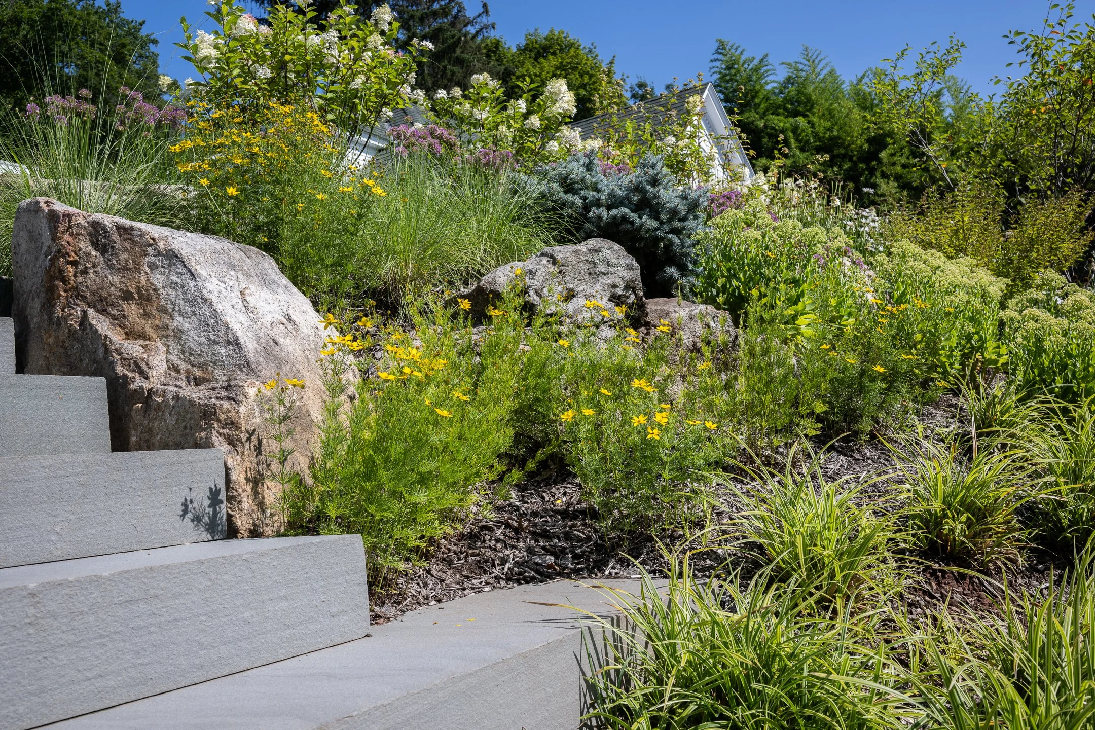 Landscaped garden with stone steps, green plants, bushes, and flowers under blue sky.