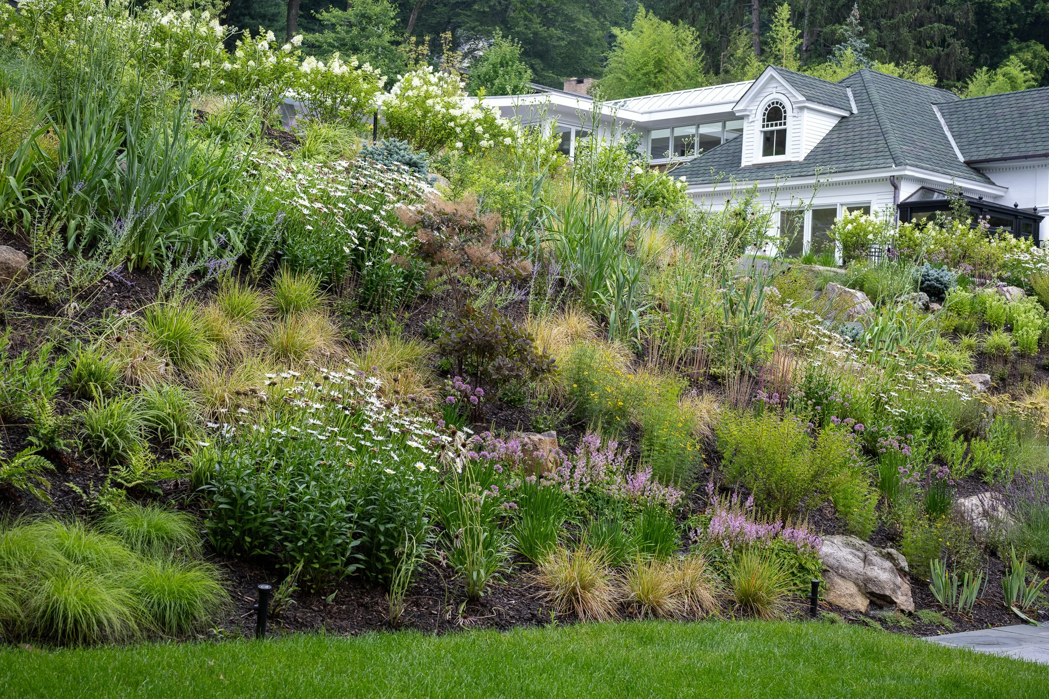 A lush garden on a hillside featuring various green plants, flowers, and shrubs with rocks scattered throughout, situated in front of a white house with a gray roof and green forested background.