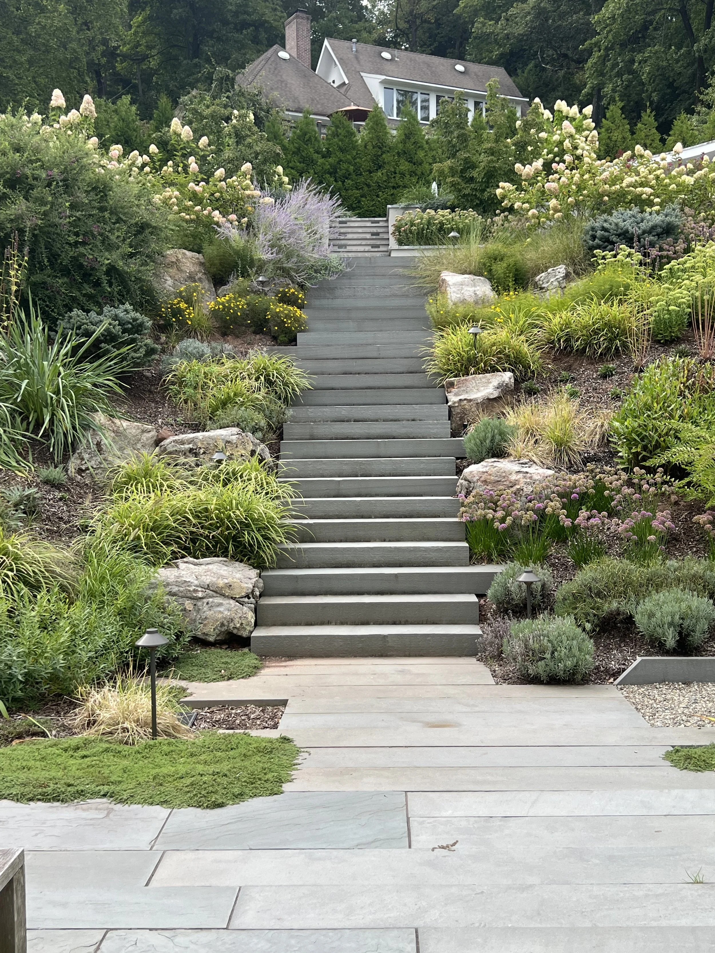 Outdoor garden with gray stairs leading uphill, surrounded by lush green plants and colorful flowers, with a house at the top.
