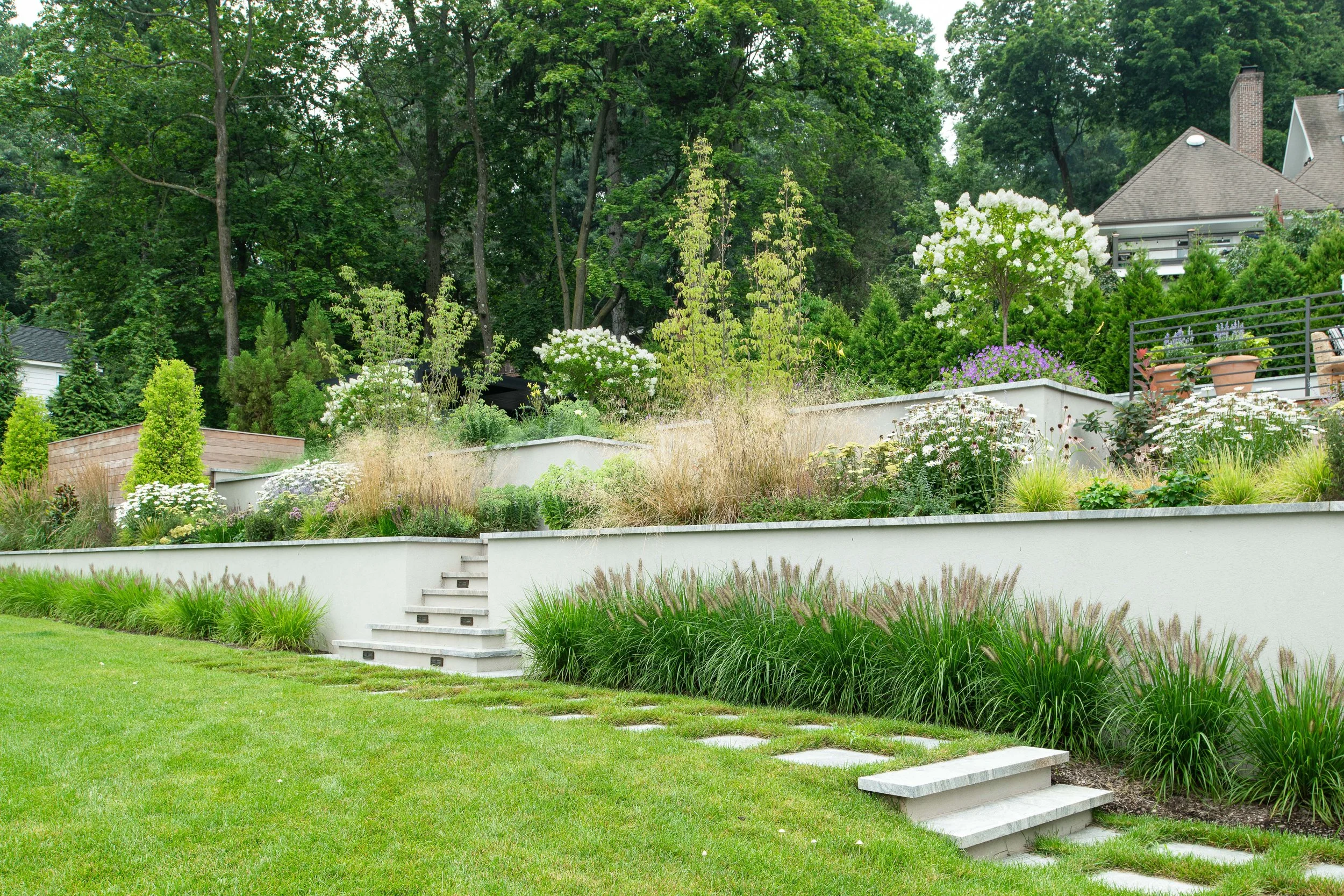 Multi-level backyard garden with steps, lush green grass, landscaped plants, white wall, flowering bushes, trees, and neighboring houses in the background.