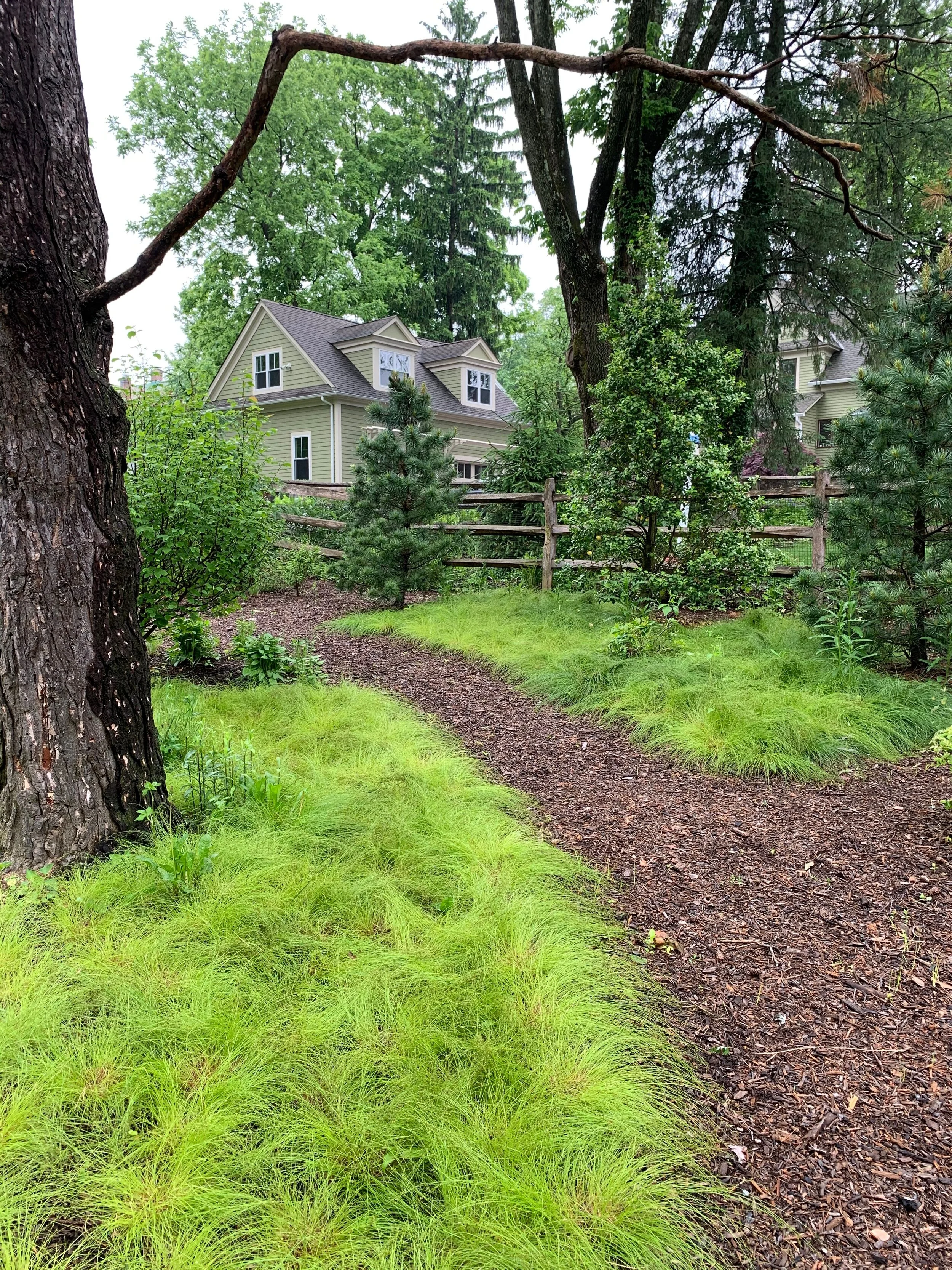 A winding dirt pathway through a lush green garden with tall trees and a wooden fence, leading to houses in the background.