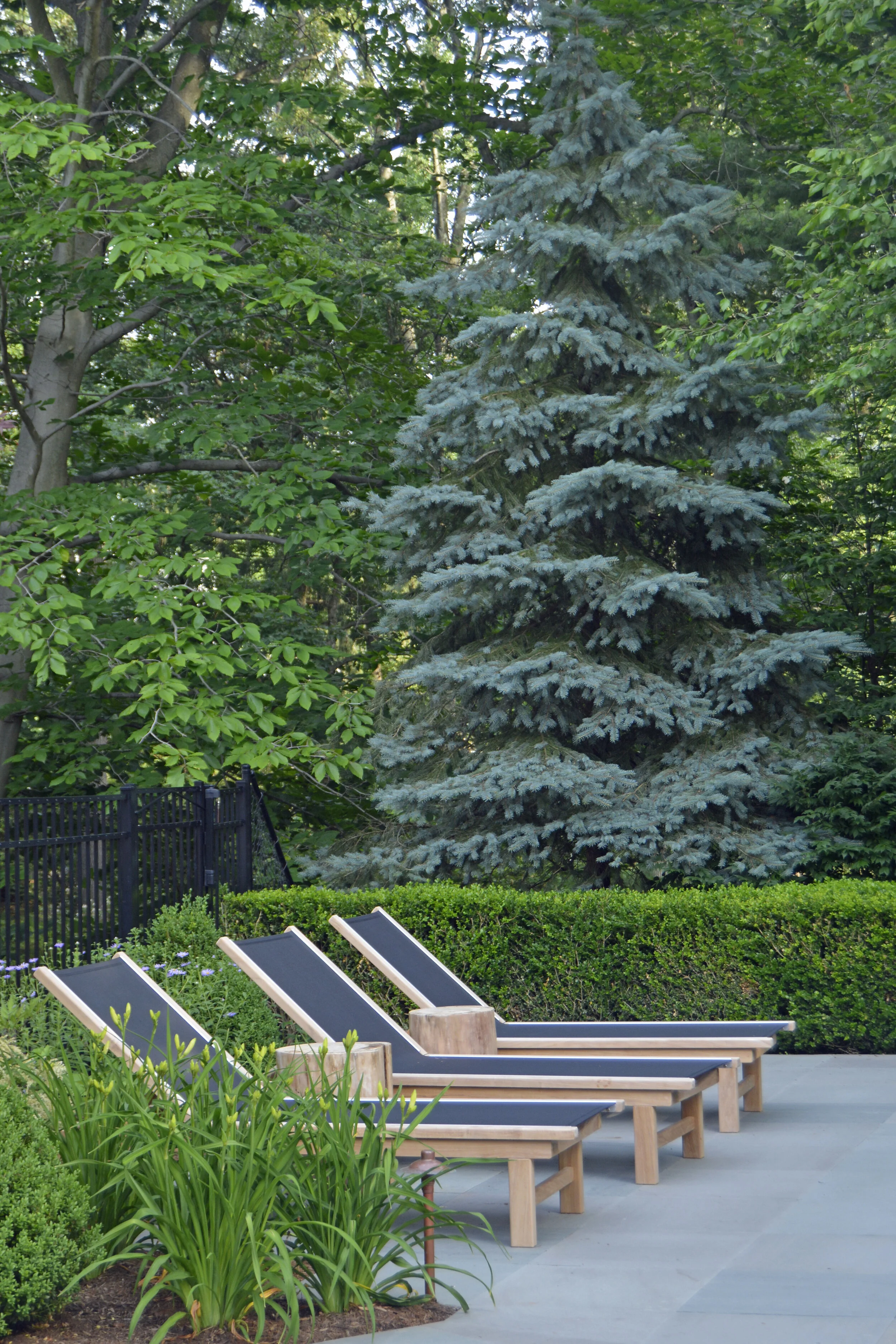 Four lounge chairs on a patio, with trees and green bushes in the background.