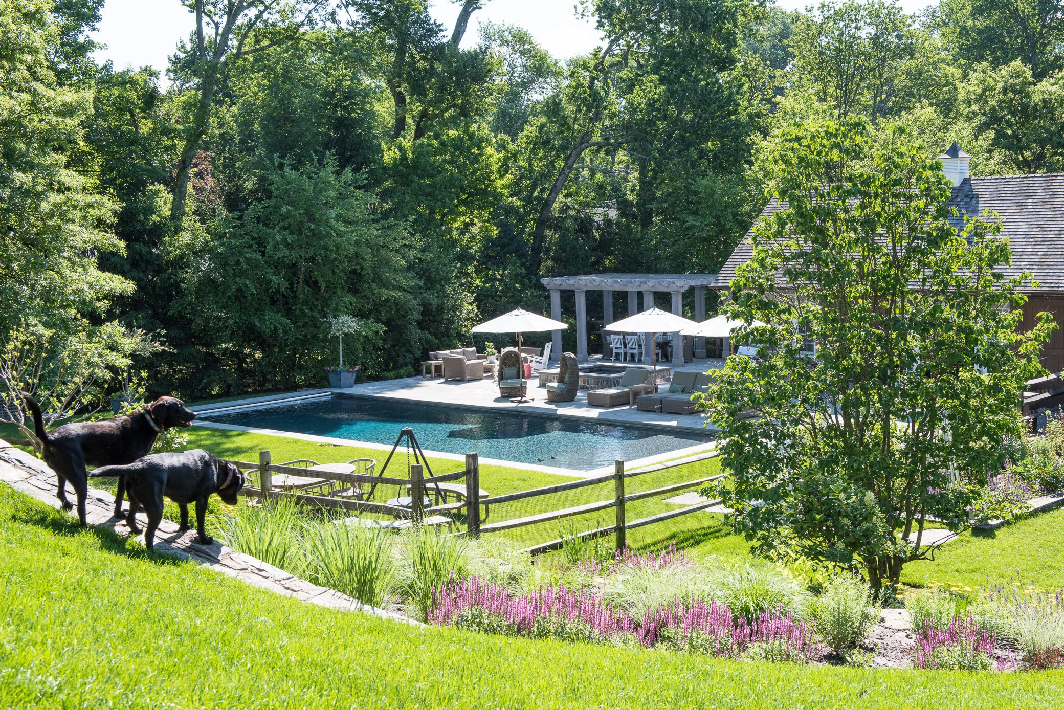 A backyard with a swimming pool, patio furniture with umbrellas, a fenced grassy area with two dogs, surrounded by trees and flowering plants.