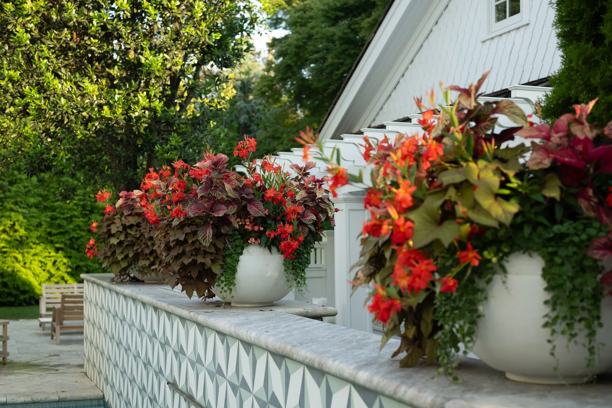 White outdoor ledge with large planters filled with red and pink flowering plants, white brick house with a window, and lush green trees in the background.