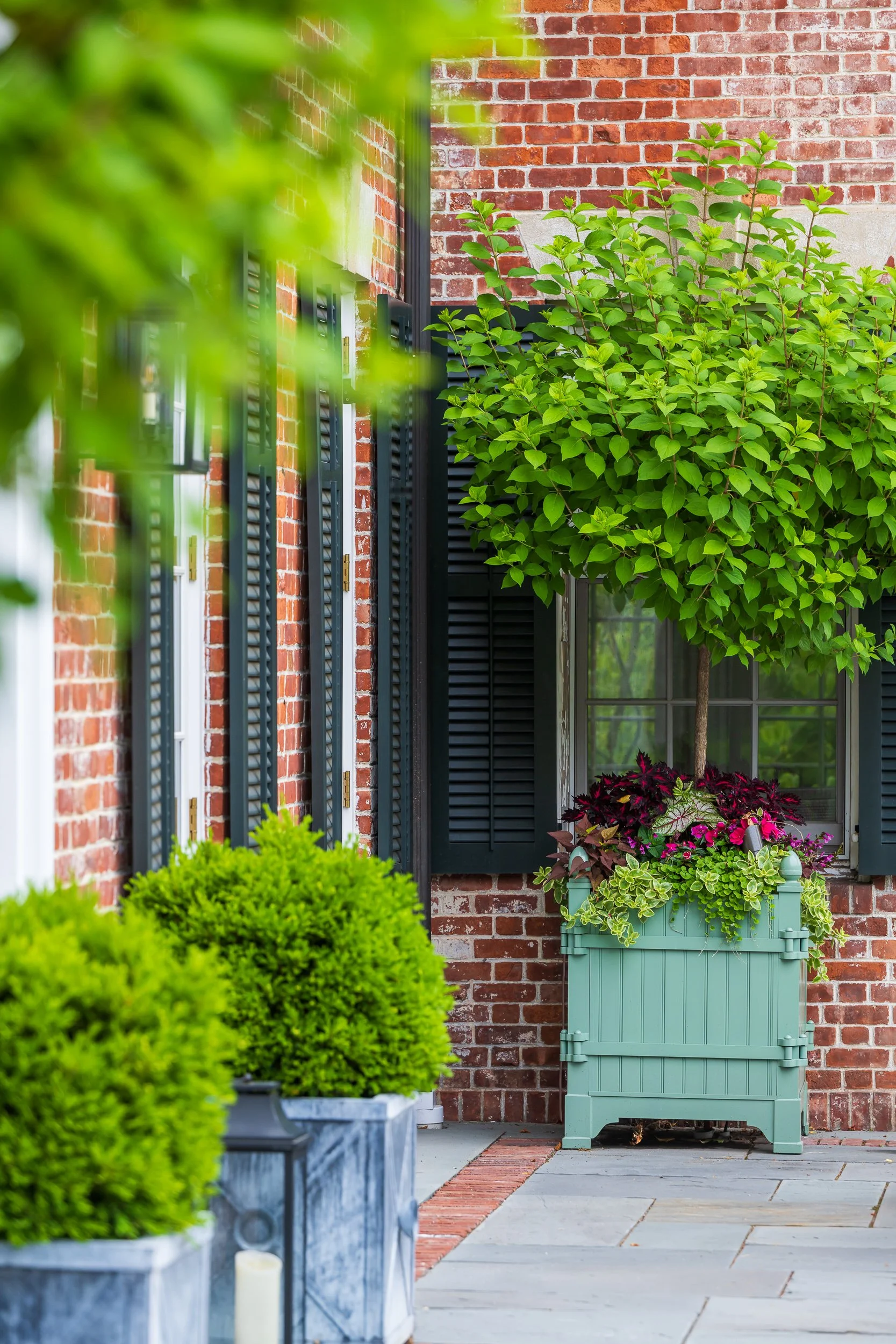 A brick house with black shutters, a window, and a light green wooden planter filled with lush plants and a small tree. Bright green bushes are in blue pots in the foreground.