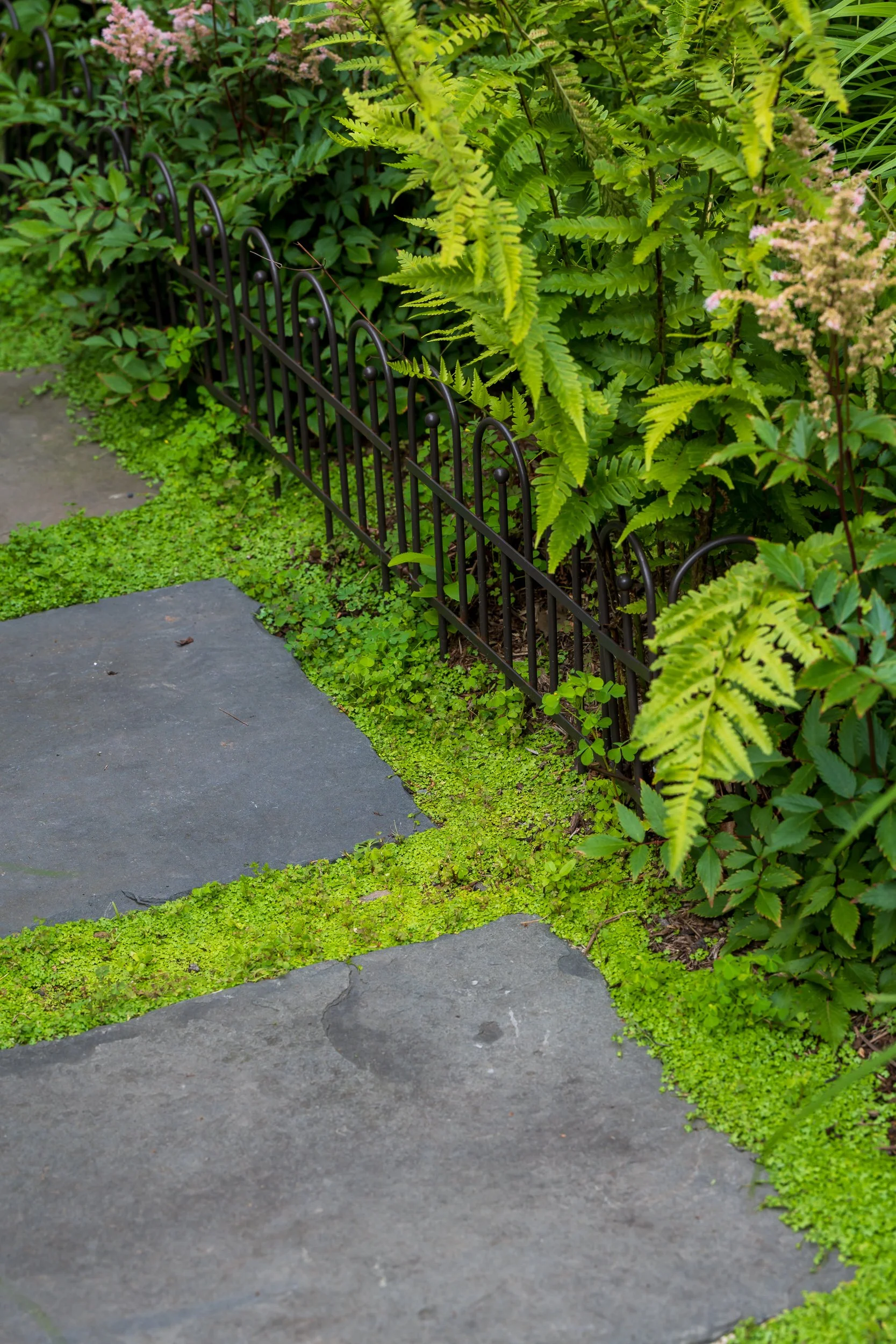 Close-up of a garden path made of gray stone slabs surrounded by small green plants and bushes, with a black metal fence along the garden bed containing leafy green plants.