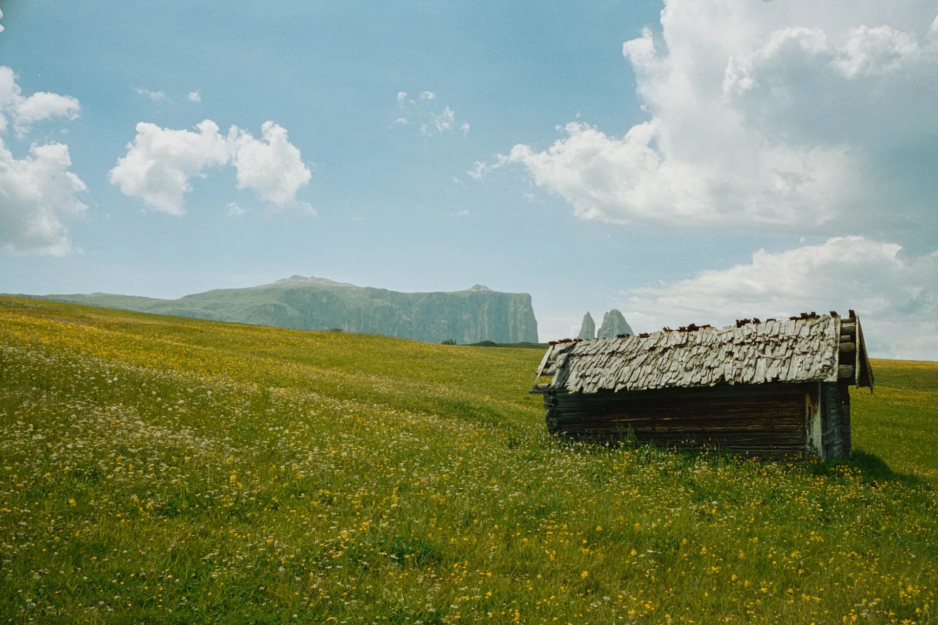 DSCF4540.jpg