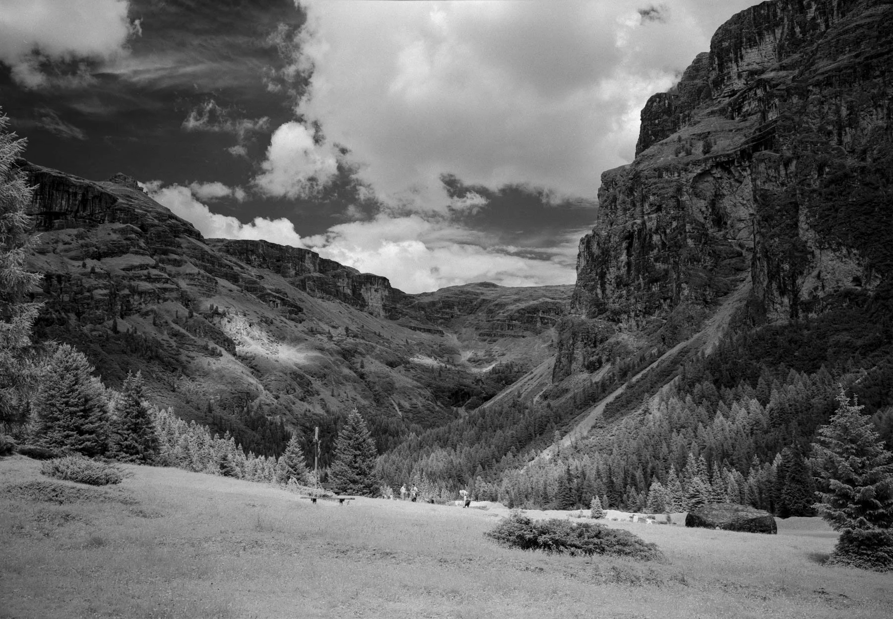 DSCF4032-Pano.jpg