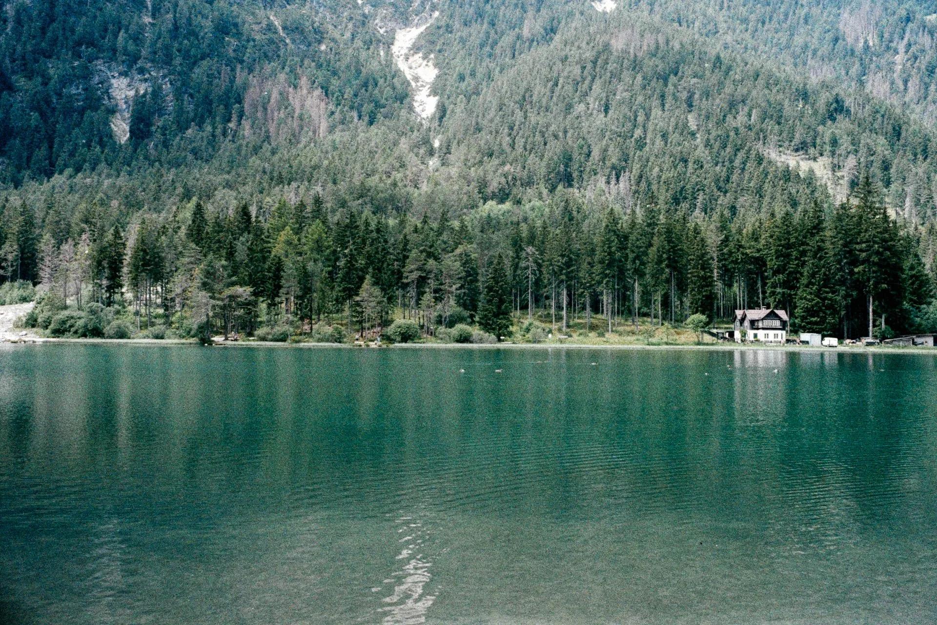 DSCF4420.jpg