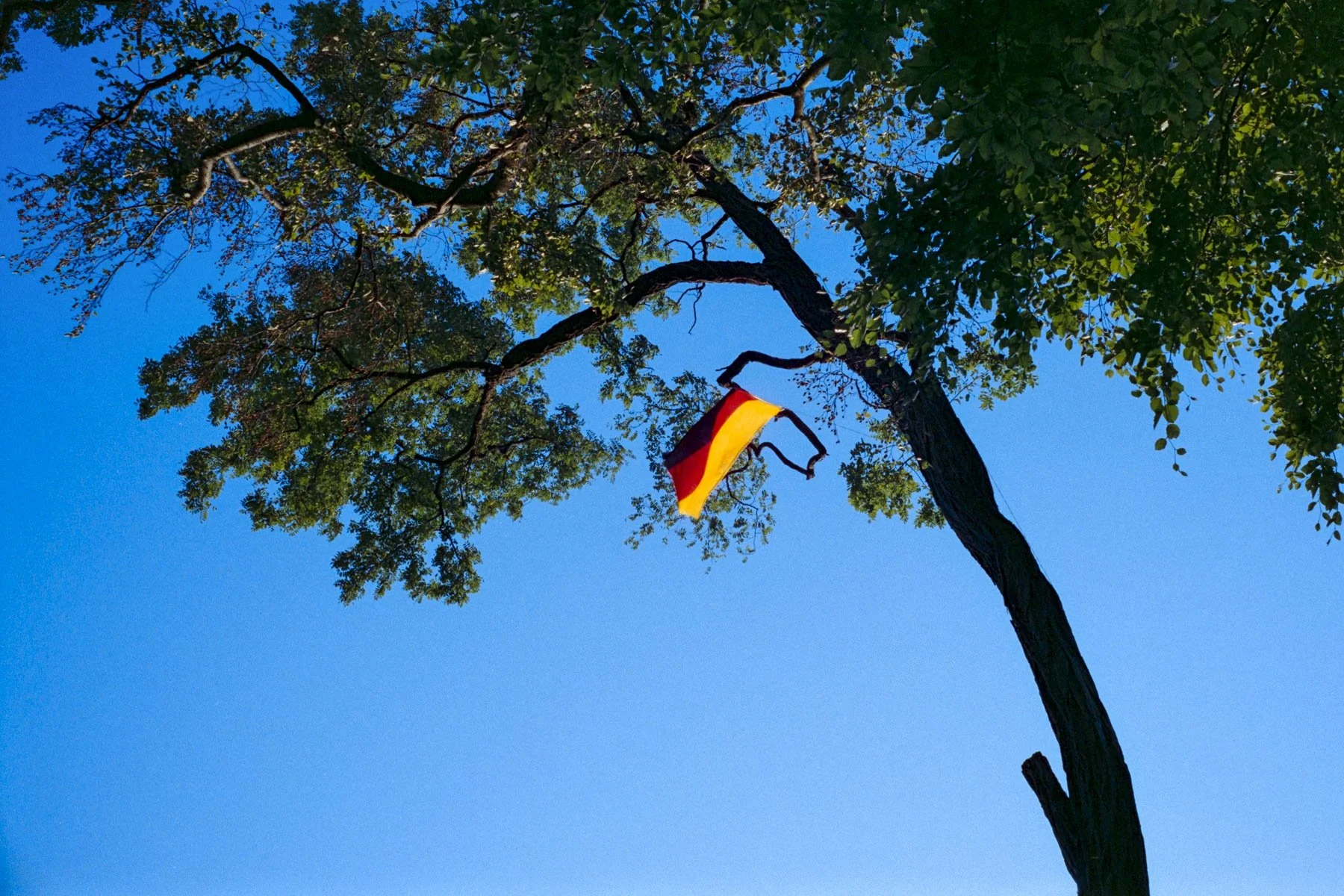 _DSF7240.jpg