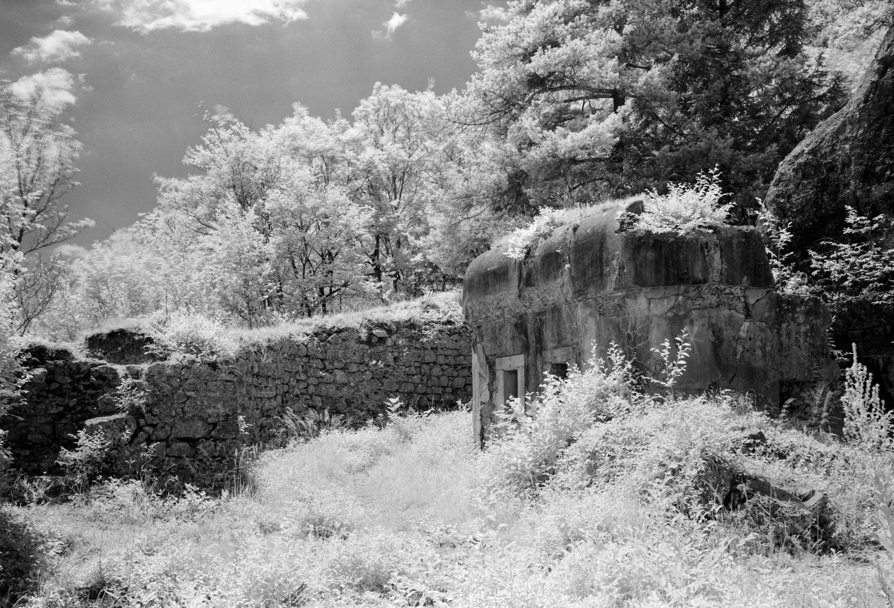 DSCF4095-Pano.jpg