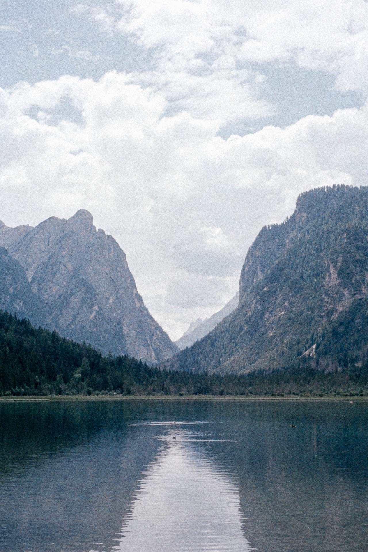 DSCF4426.jpg