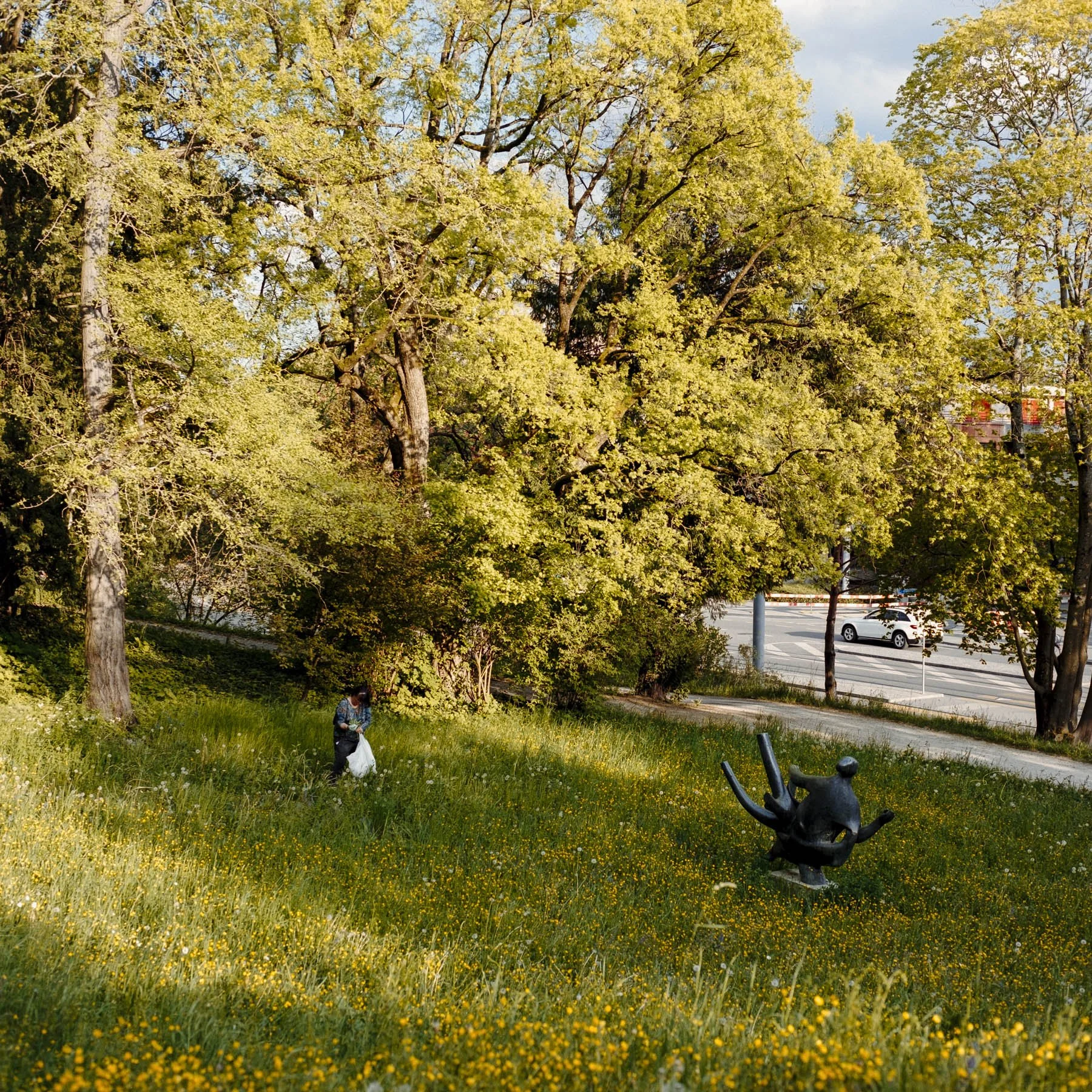 DSCF2725.jpg