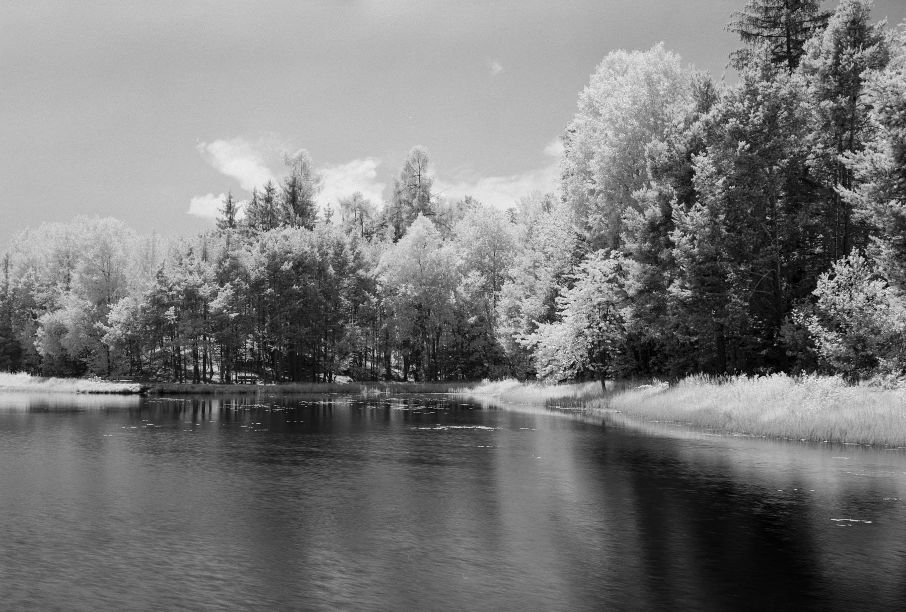 DSCF4009-Pano.jpg