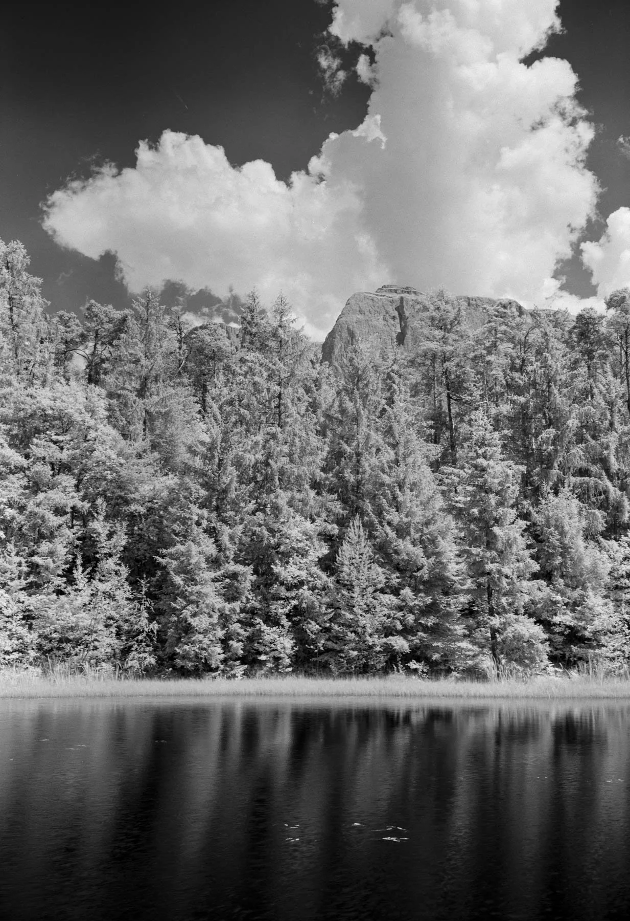 DSCF4013-Pano.jpg