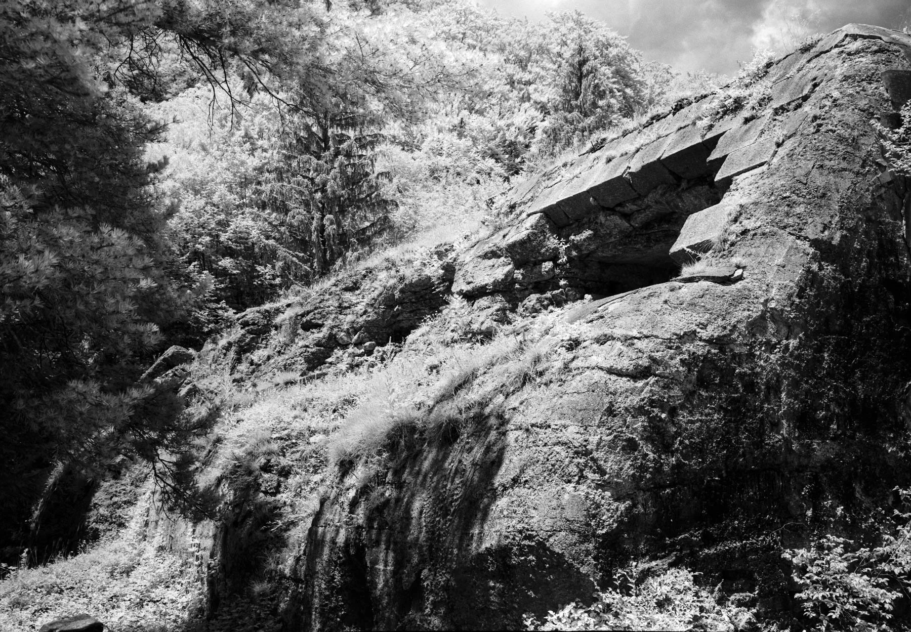 DSCF4100-Pano.jpg
