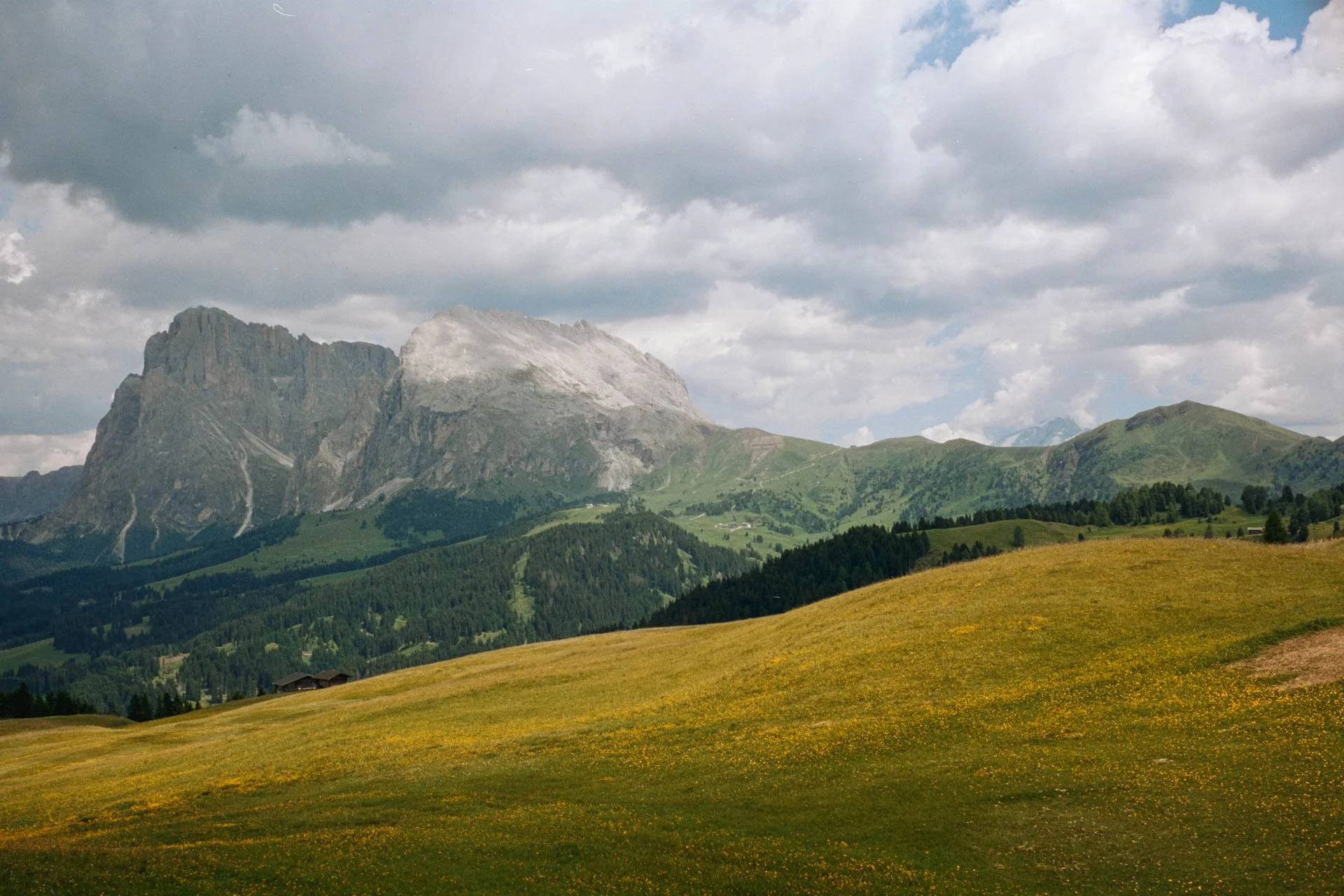 DSCF4541.jpg