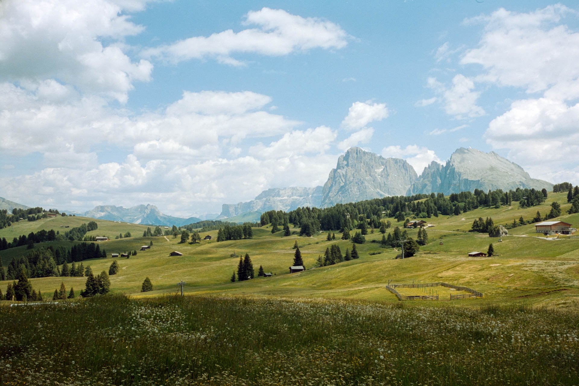 DSCF4526.jpg