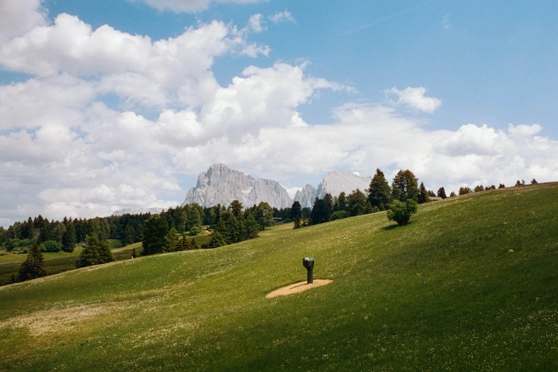 DSCF4531.jpg