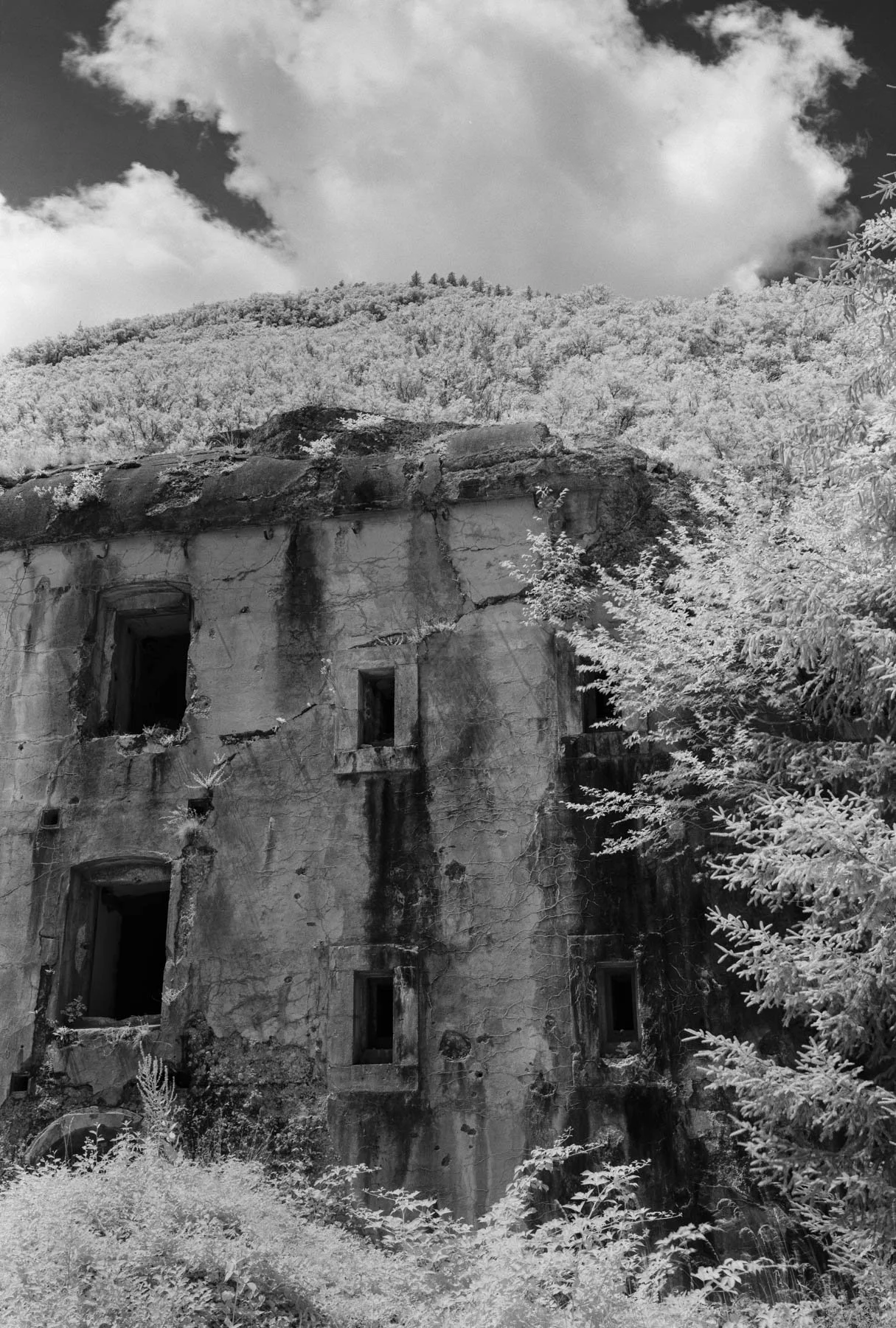 DSCF4096-Pano.jpg