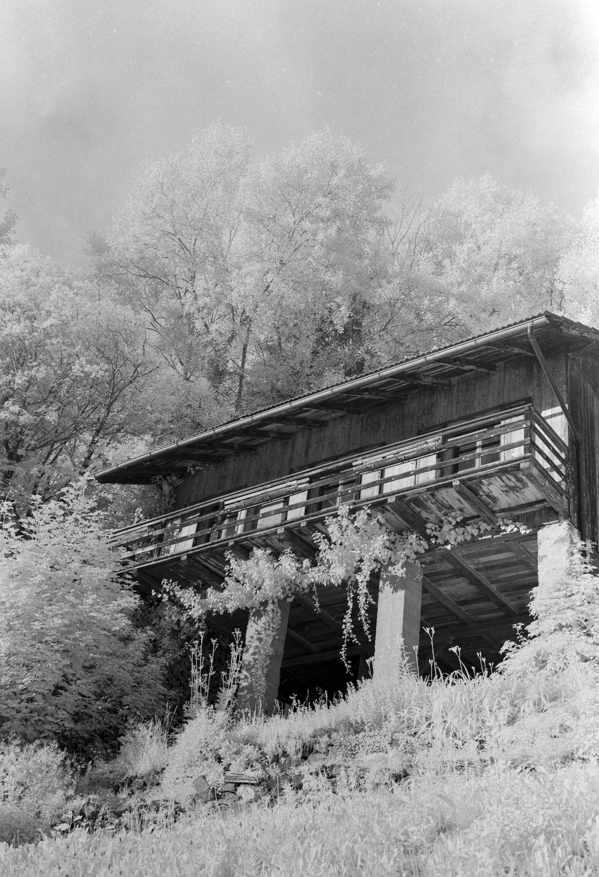 DSCF3980-Pano.jpg