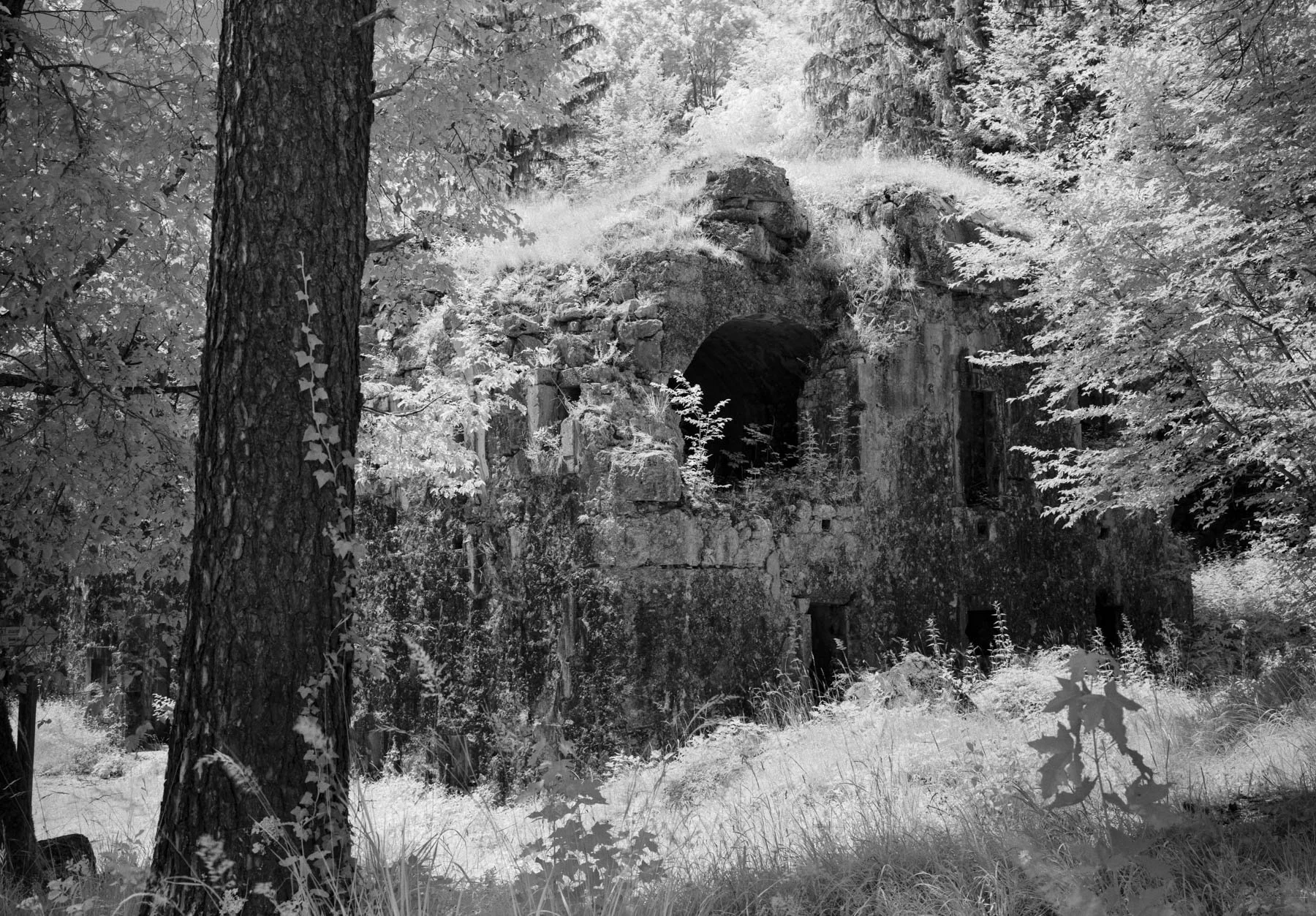 DSCF4083-Pano.jpg