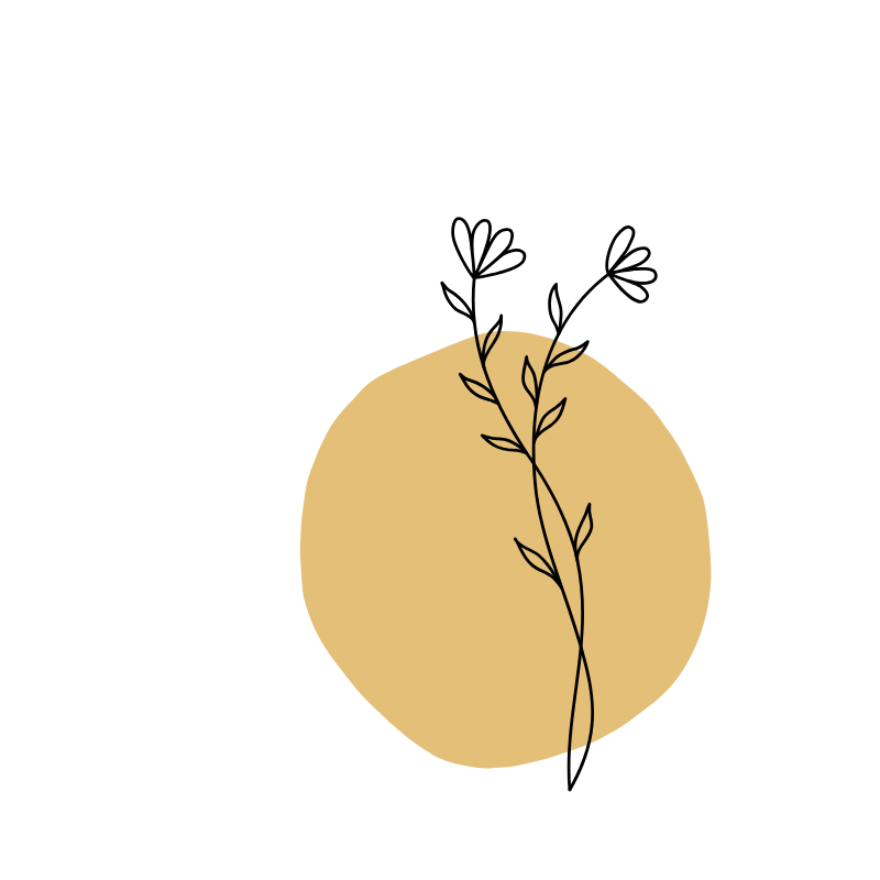 Family & Parent Coaching
