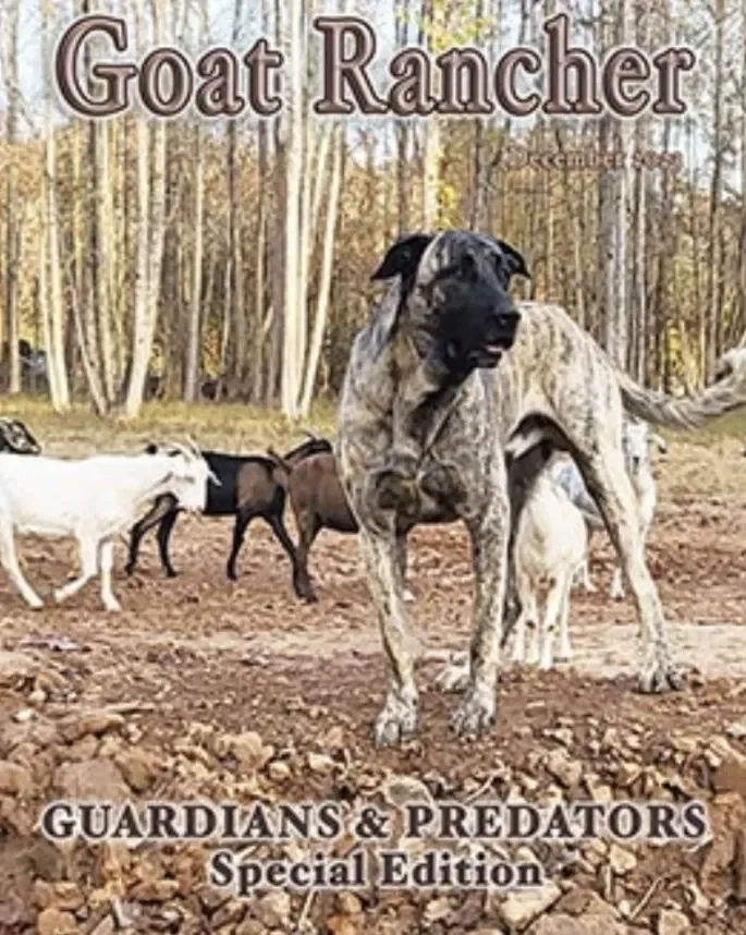 Goat Rancher Toccoa.webp