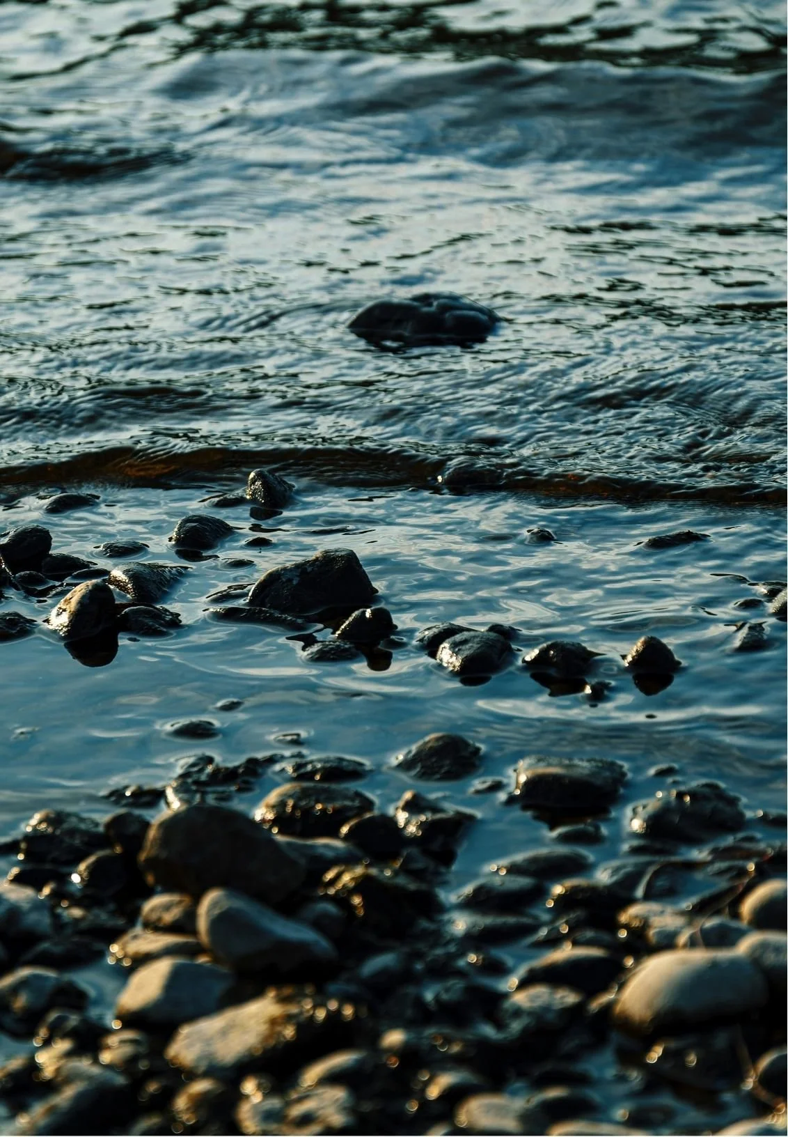 Close-up of a rocky shoreline with water flowing over and around black rocks.