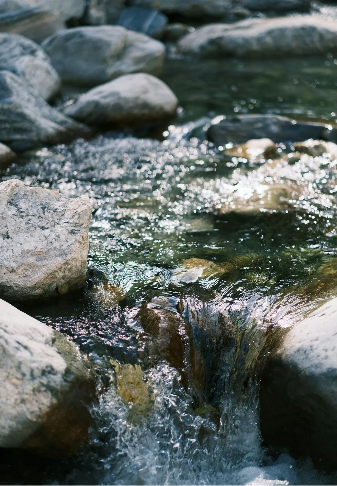 Stream flowing over rocks, sunlight creating sparkling reflections on the water surface.
