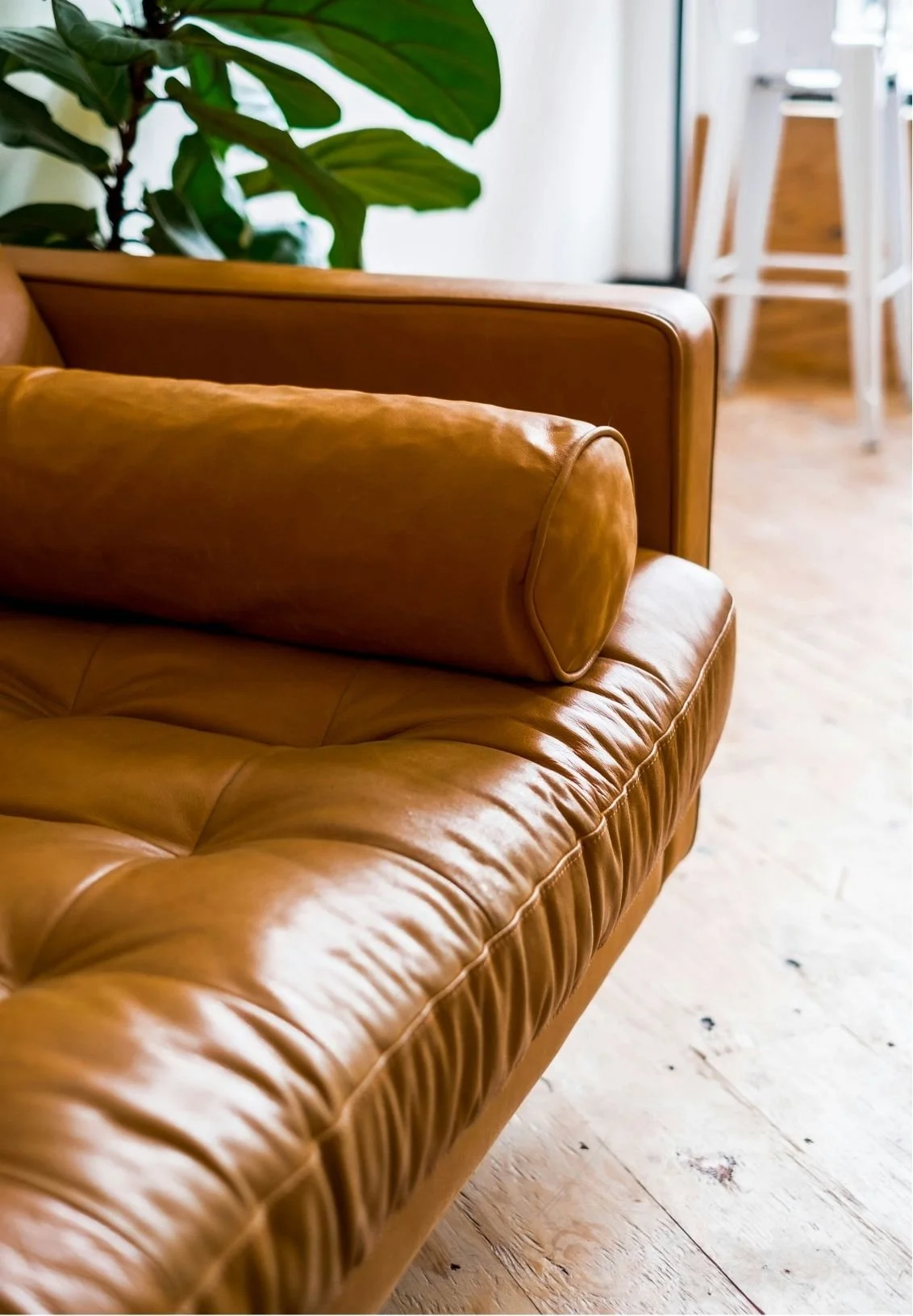 Close-up of a brown leather sofa with a matching bolster pillow in a well-lit room, a large green leafy plant in the background, and part of a wooden chair and a white barstool visible.