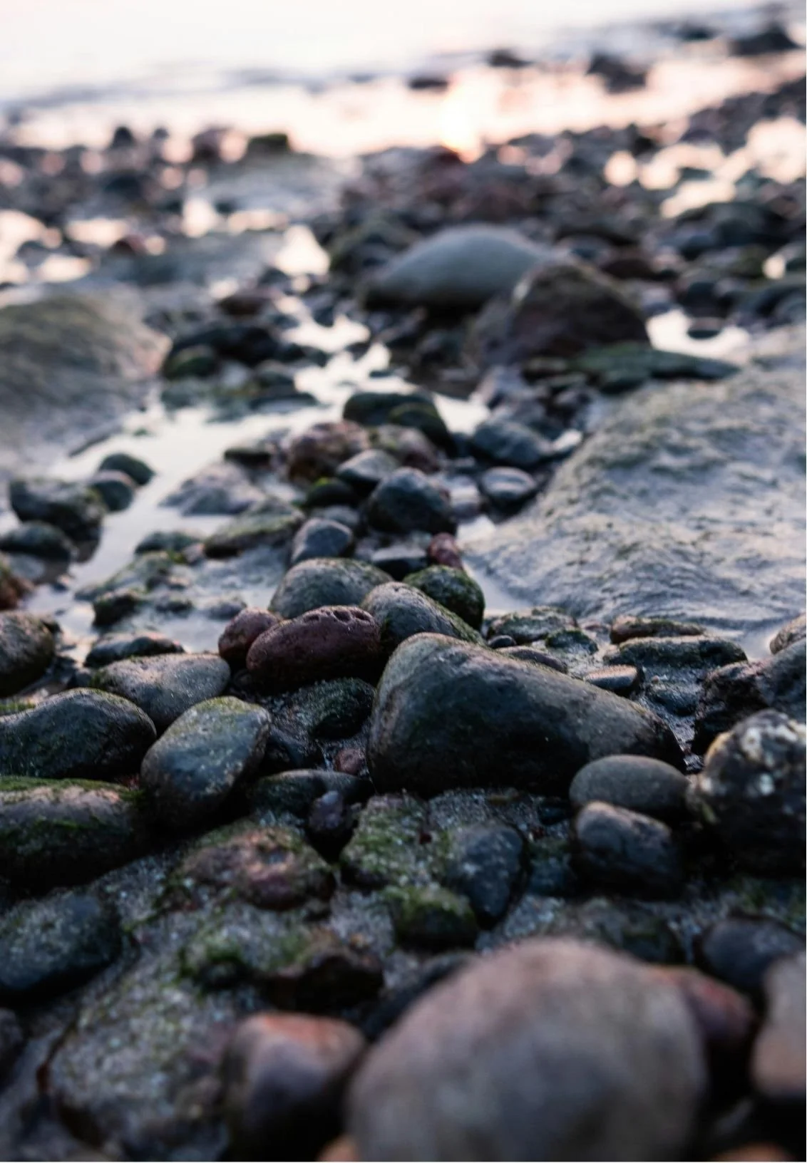 Close-up view of a rocky shoreline with small, smooth stones near water, possibly during sunset or sunrise.