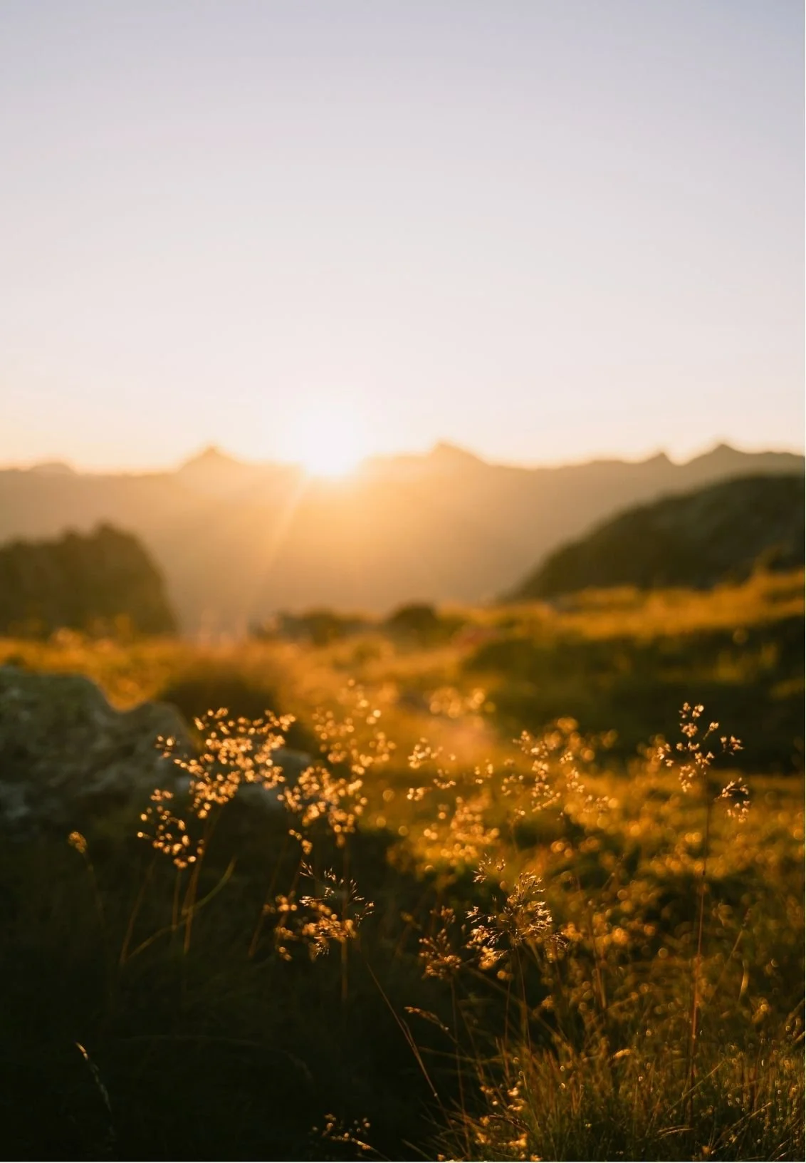 A blurry landscape of mountains during sunset with golden lighting and wildflowers in the foreground.