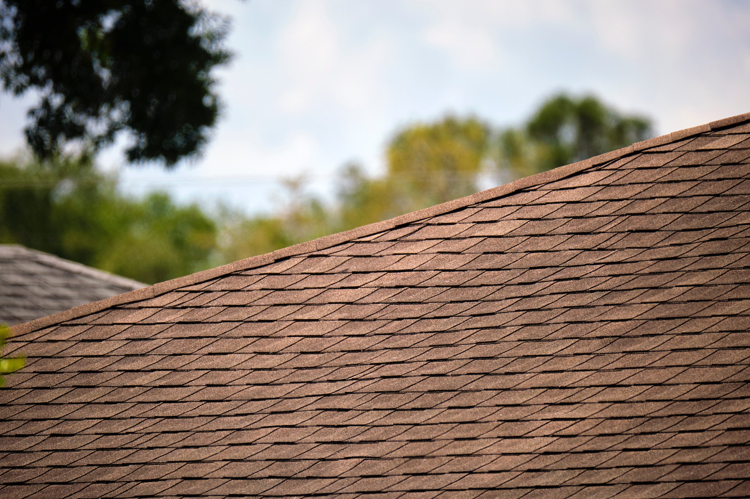 Close-up of a brown shingle roof with a background of blurred green trees and a blue sky.