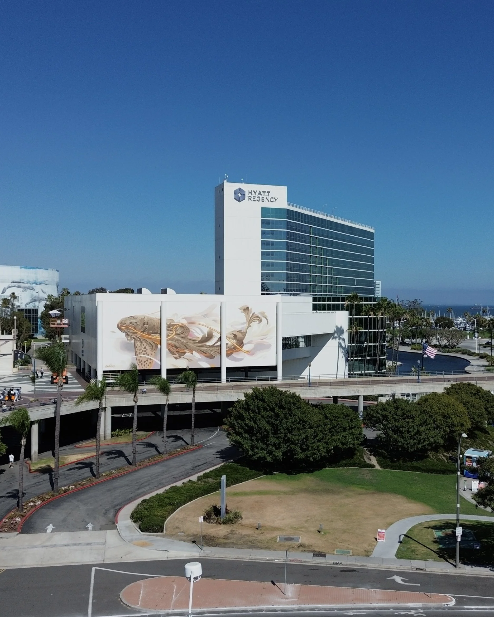DJI_0950.jpg