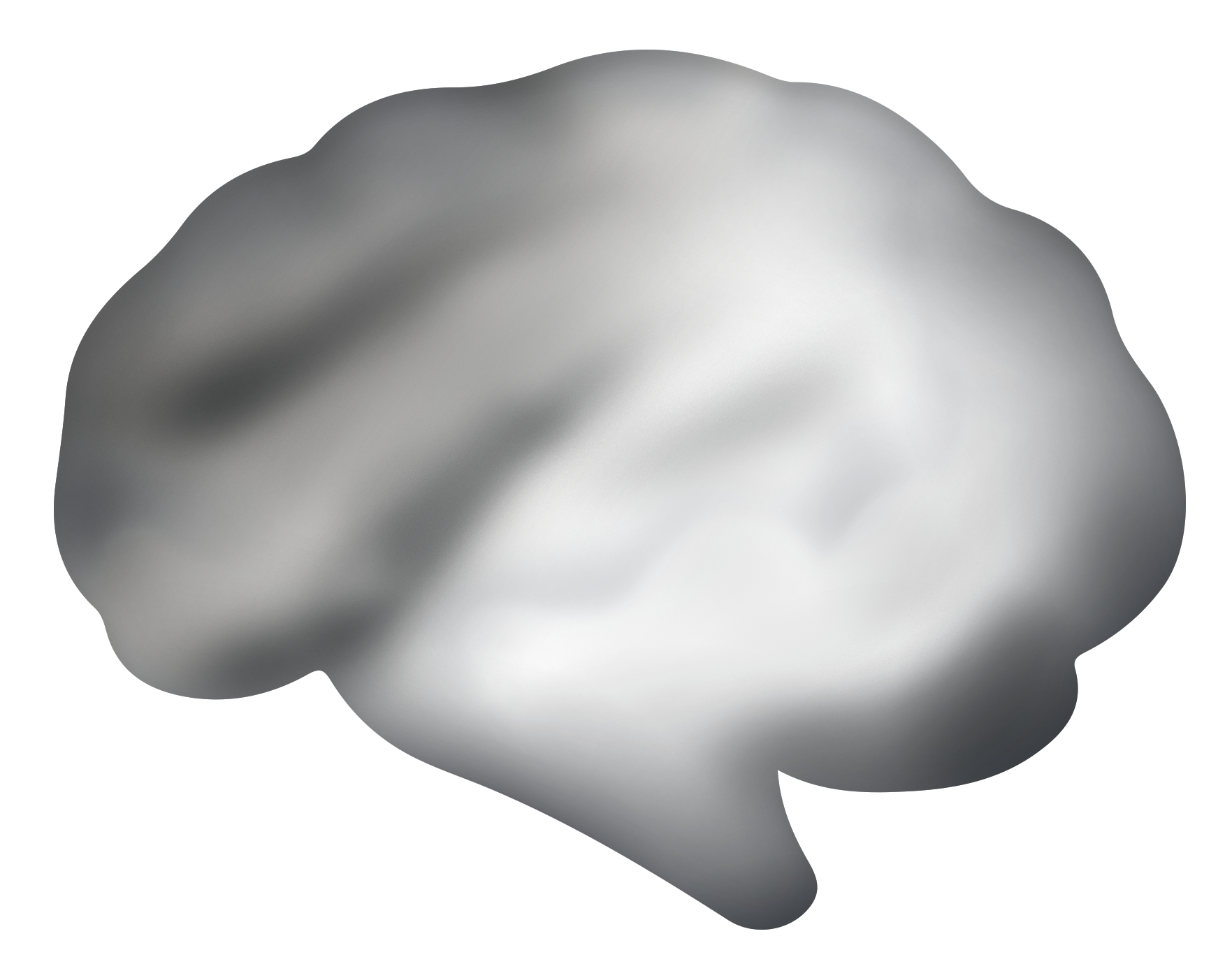 A black stylized design of a brain with a sleek, smooth surface and contoured shape.