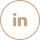 LinkedIn Button